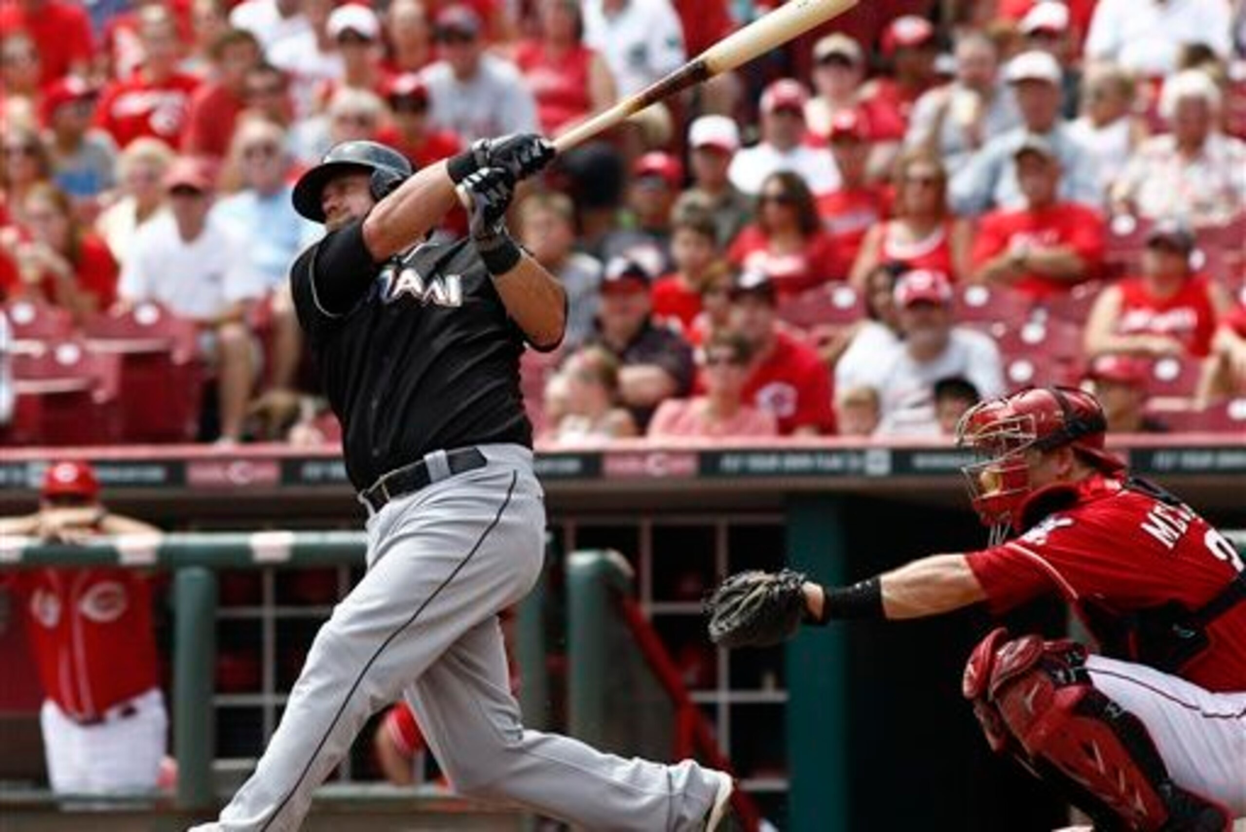 Casey McGehee may be a good fit for the Giants if Sandoval does not return. Casey McGehee may be a good fit for the Giants if Sandoval does not return.