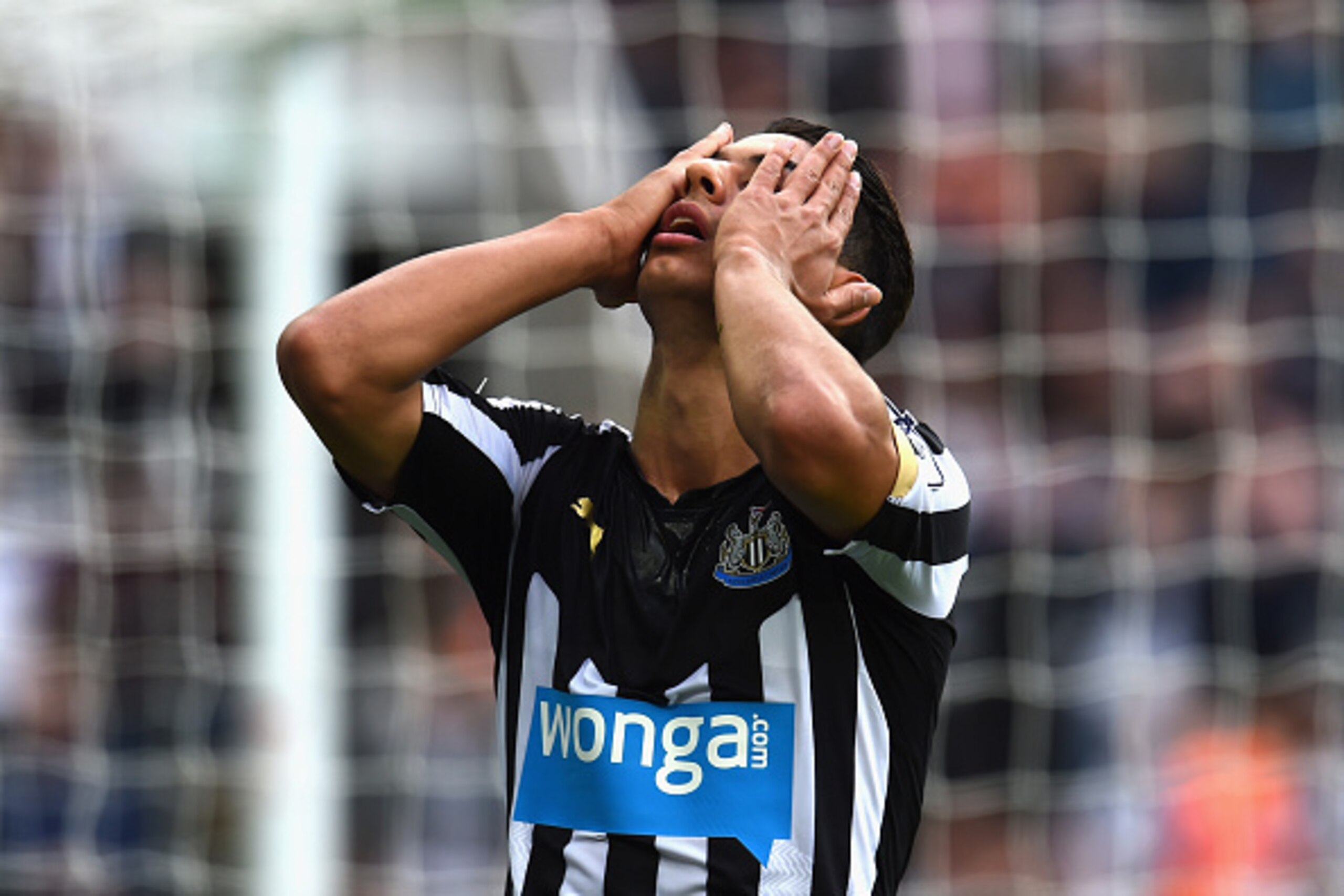 NEWCASTLE UPON TYNE, ENGLAND - NOVEMBER 01:  Ayoze Perez of Newcastle United holds his head in hands after a missed chance during the Barclays Premier League match between Newcastle United and Liverpool at St James' Park on November 1, 2014 in Newcastle u