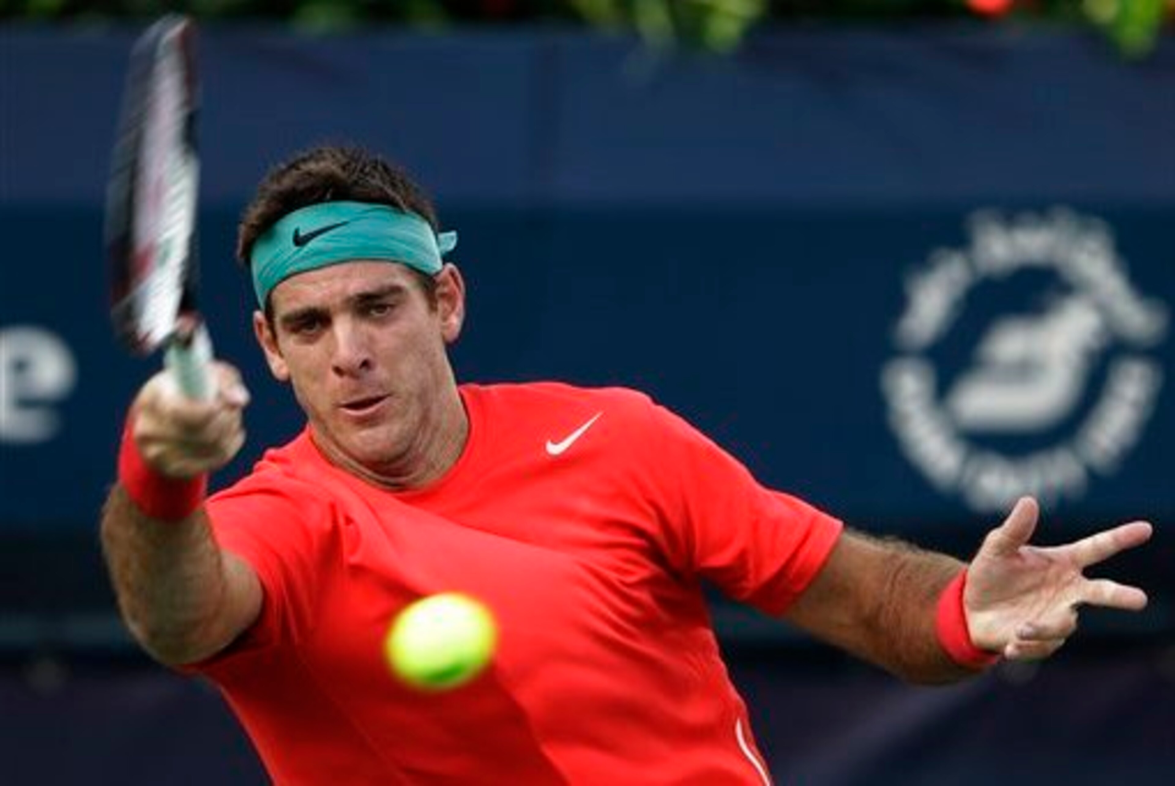Will Del Potro “make the difference” in 2015?