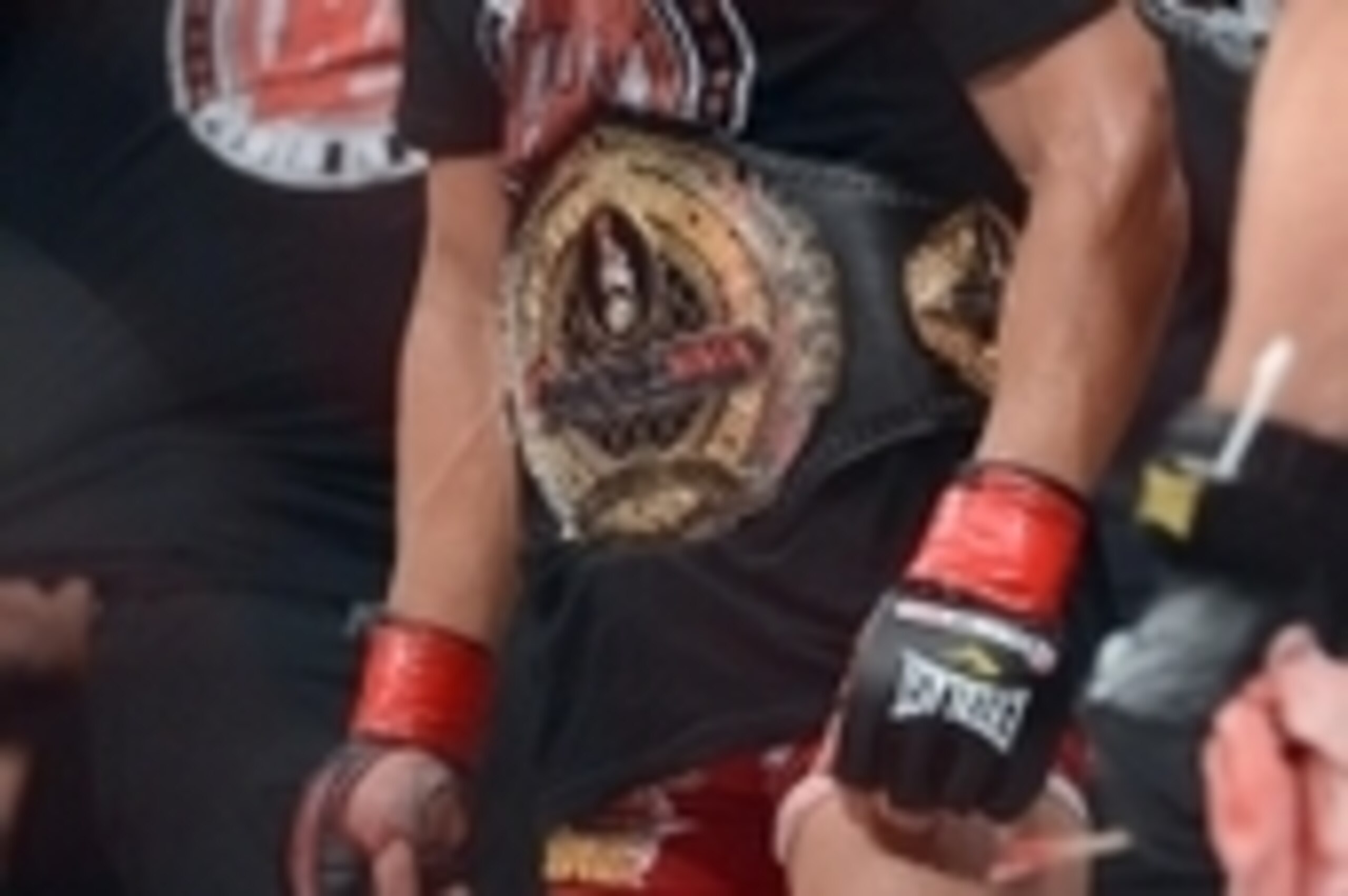Nov 2, 2013; Long Beach, CA, USA;   Eddie Alvarez in the cage after his Bellator lightweight world championship fight against Michael Chandler (not pictured ) at the Long Beach Arena. Alvarez won the fight. Mandatory Credit: Jayne Kamin-Oncea-USA TODAY Sp