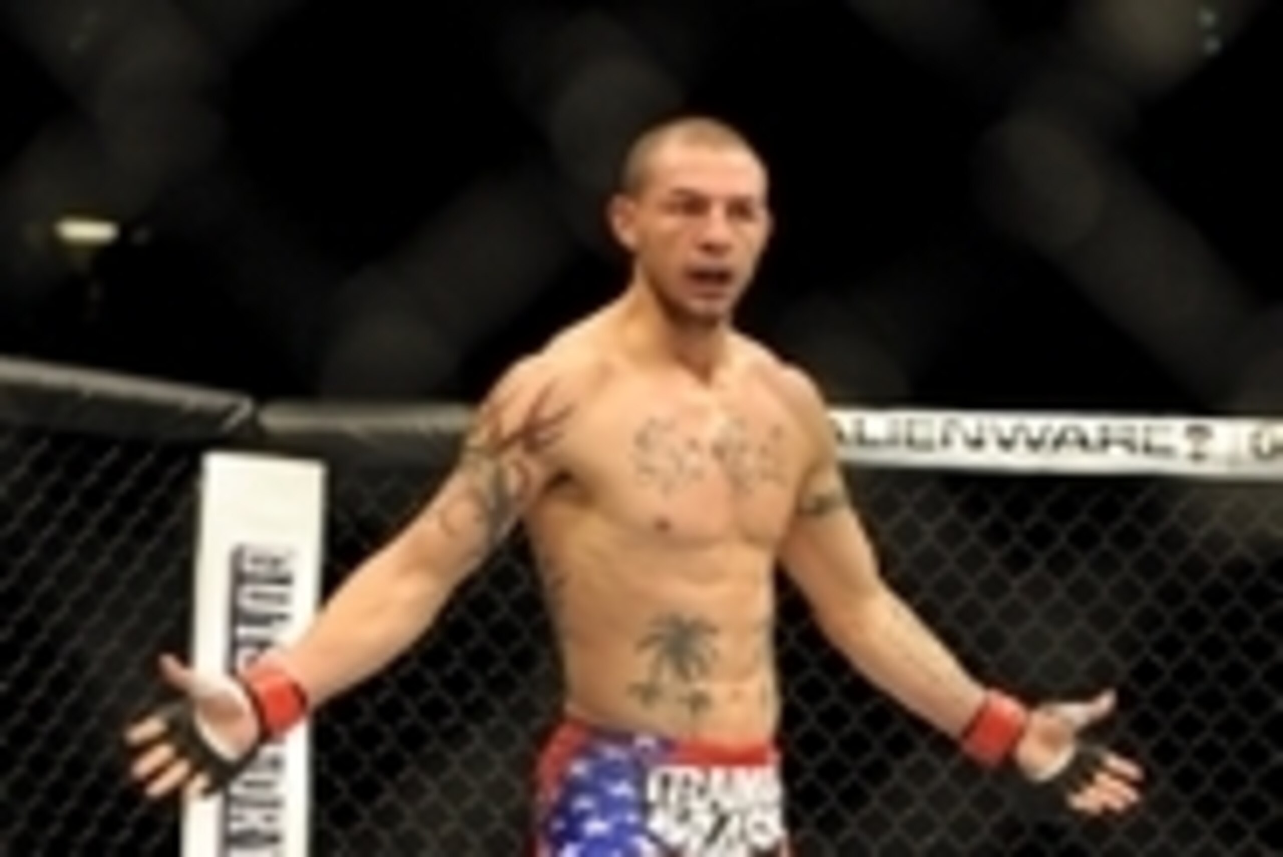 Jul 6, 2013; Las Vegas, NV, USA;   Cub Swanson in the cage defeating Dennis Siver (not pictured) in his UFC Featherweight Bout at the MGM Grand Garden Arena.  Mandatory Credit: Jayne Kamin-Oncea-USA TODAY Sports