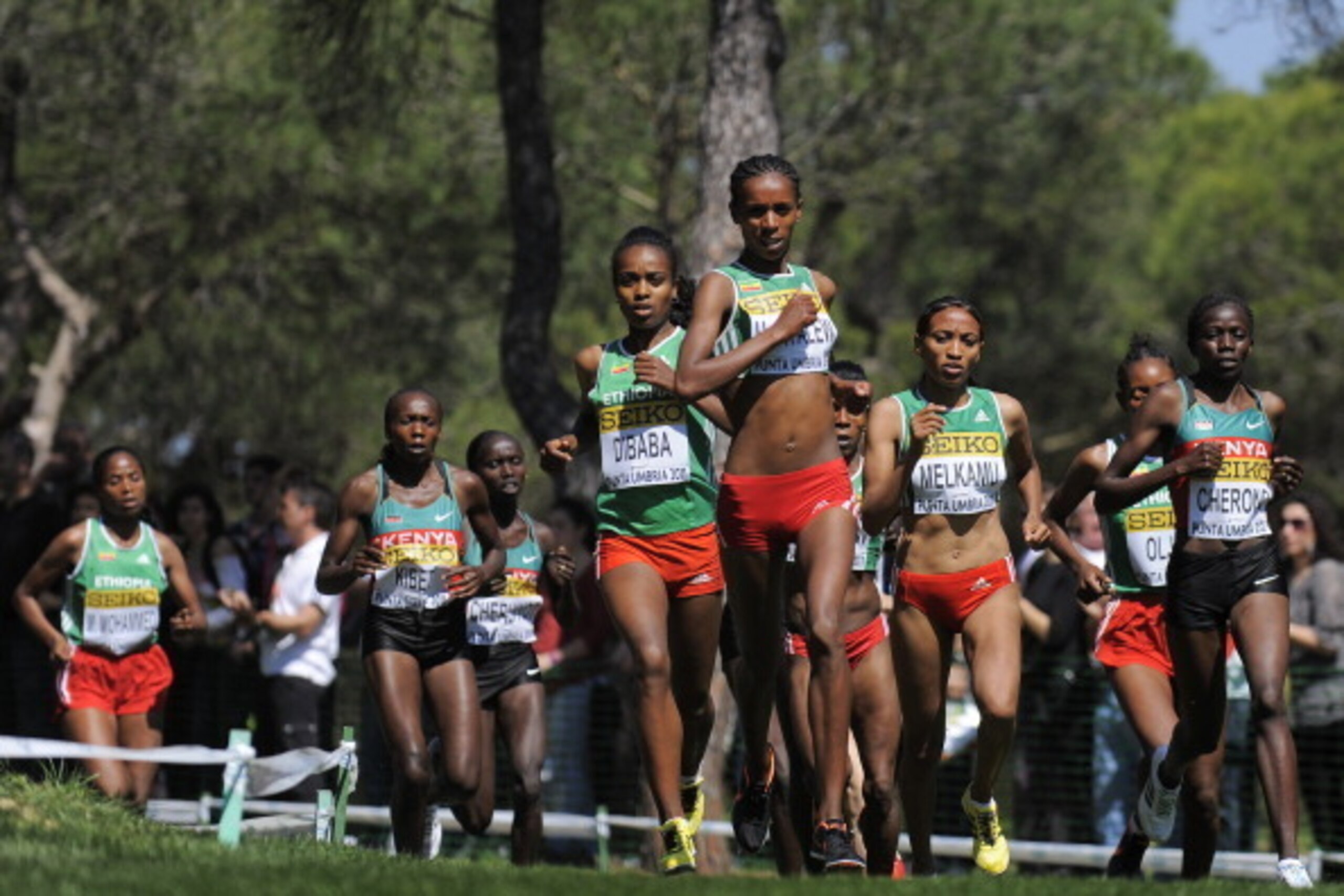 Punta Umbria, SPAIN - MARCH 20:  Wude Ayalew (C) leads the race during the Senior Women's race during the 39th Iaaf World Cross Country Championships March 20, 2011 in Punta Umbria, Spain.  (Photo by David Ramos/Getty Images)