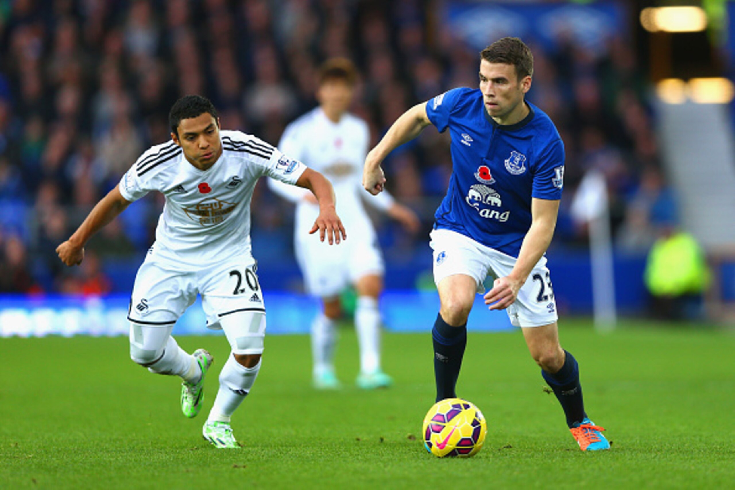 LIVERPOOL, ENGLAND - NOVEMBER 01: Liam O'Neil of West Brom marshalls Seamus Coleman of Everton  during the Barclays Premier League match between Everton and Swansea City at Goodison Park on November 1, 2014 in Liverpool, England.  (Photo by Clive Brunskil