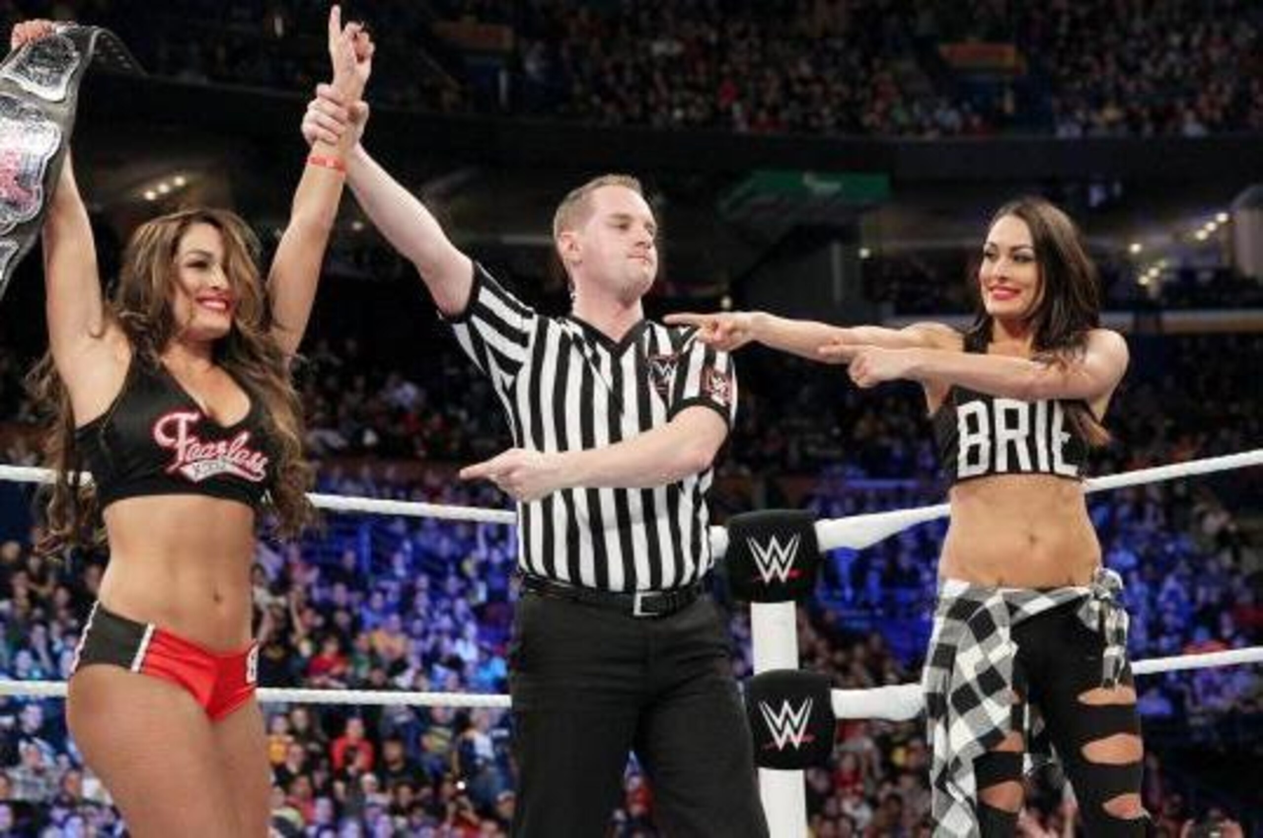 Nikki and Brie Bella celebrate at Survivor Series.