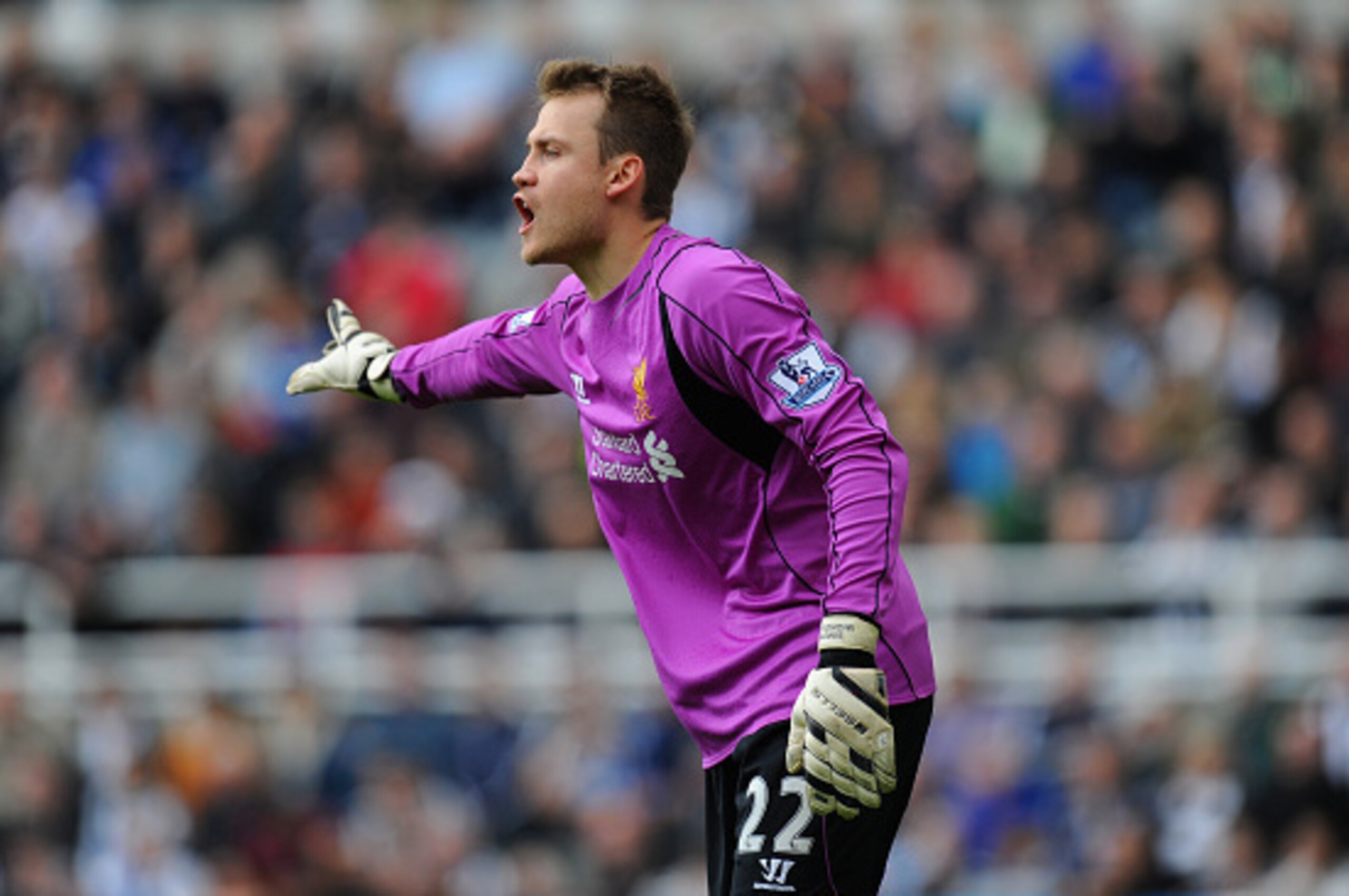 NEWCASTLE UPON TYNE, ENGLAND - NOVEMBER 01: Liverpool goalkeeper Simon Mignolet in action during the Barclays Premier League match between Newcastle United and Liverpool at St James' Park on November 1, 2014 in Newcastle upon Tyne, England.  (Photo by Stu