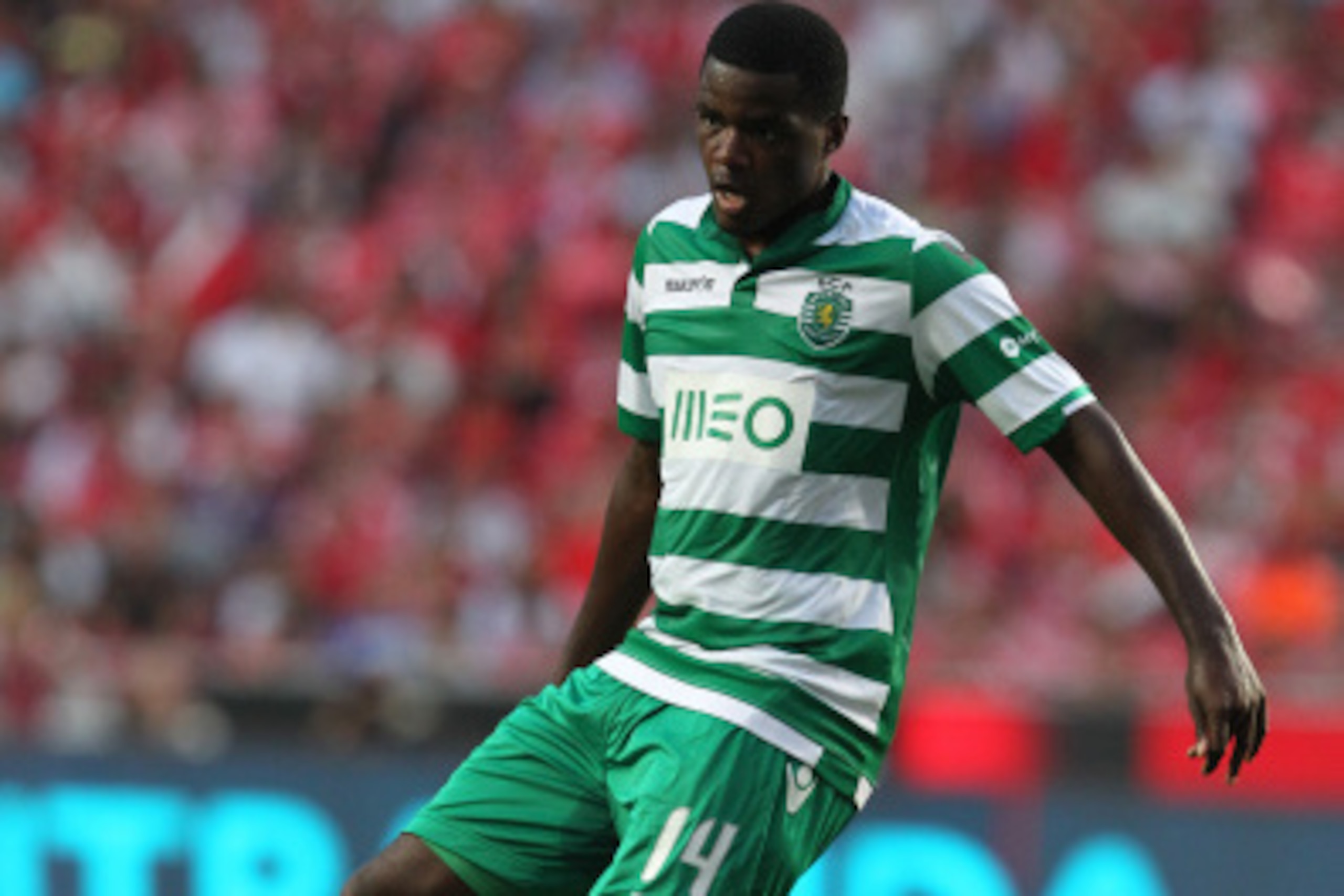 LISBON, PORTUGAL - AUGUST 31: Sporting's midfielder William Carvalho during the Primeira Liga match between SL Benfica and Sporting CP at Estadio da Luz on August 31, 2014 in Lisbon, Portugal. (Photo by Carlos Rodrigues/Getty Images).