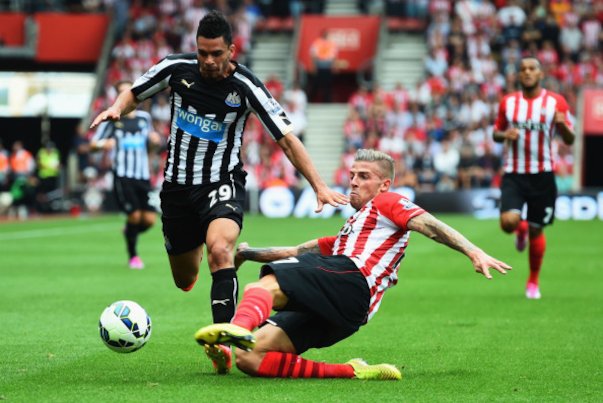 SOUTHAMPTON, ENGLAND - SEPTEMBER 13: Toby Alderweireld of Southampton tackles Emmanuel Riviere of Newcastle United during the Barclays Premier League match between Southampton and Newcastle United at St Mary's Stadium on September 13, 2014 in Southampton SOUTHAMPTON, ENGLAND - SEPTEMBER 13: Toby Alderweireld of Southampton tackles Emmanuel Riviere of Newcastle United during the Barclays Premier League match between Southampton and Newcastle United at St Mary's Stadium on September 13, 2014 in Southampton