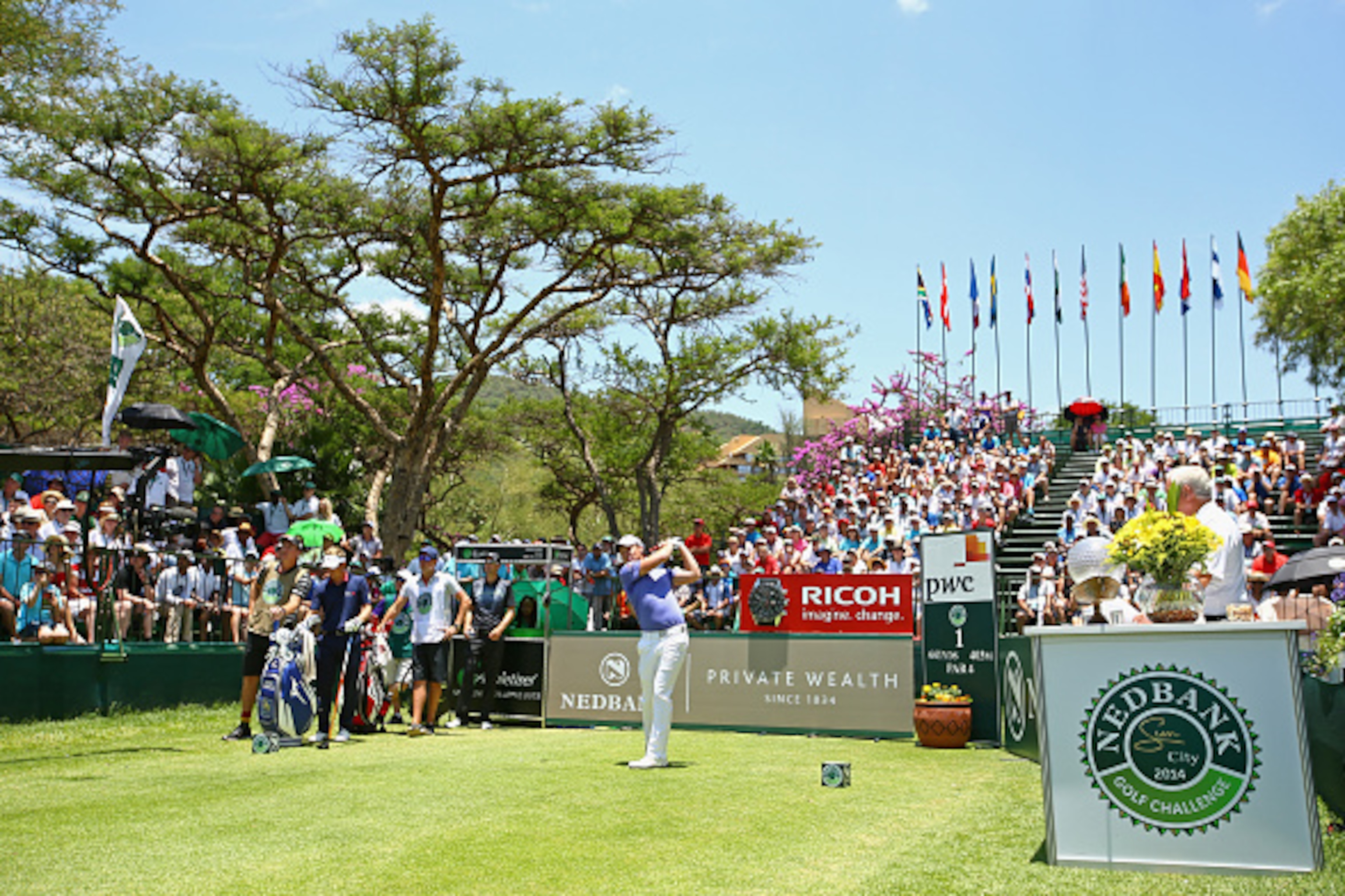 SUN CITY, SOUTH AFRICA - DECEMBER 07:  Danny Willett of England tee's off at the 1st during the final round of the Nedbank Golf Challenge at the Gary Player Country Club on December 7, 2014 in Sun City, South Africa.  (Photo by Richard Heathcote/Getty Ima
