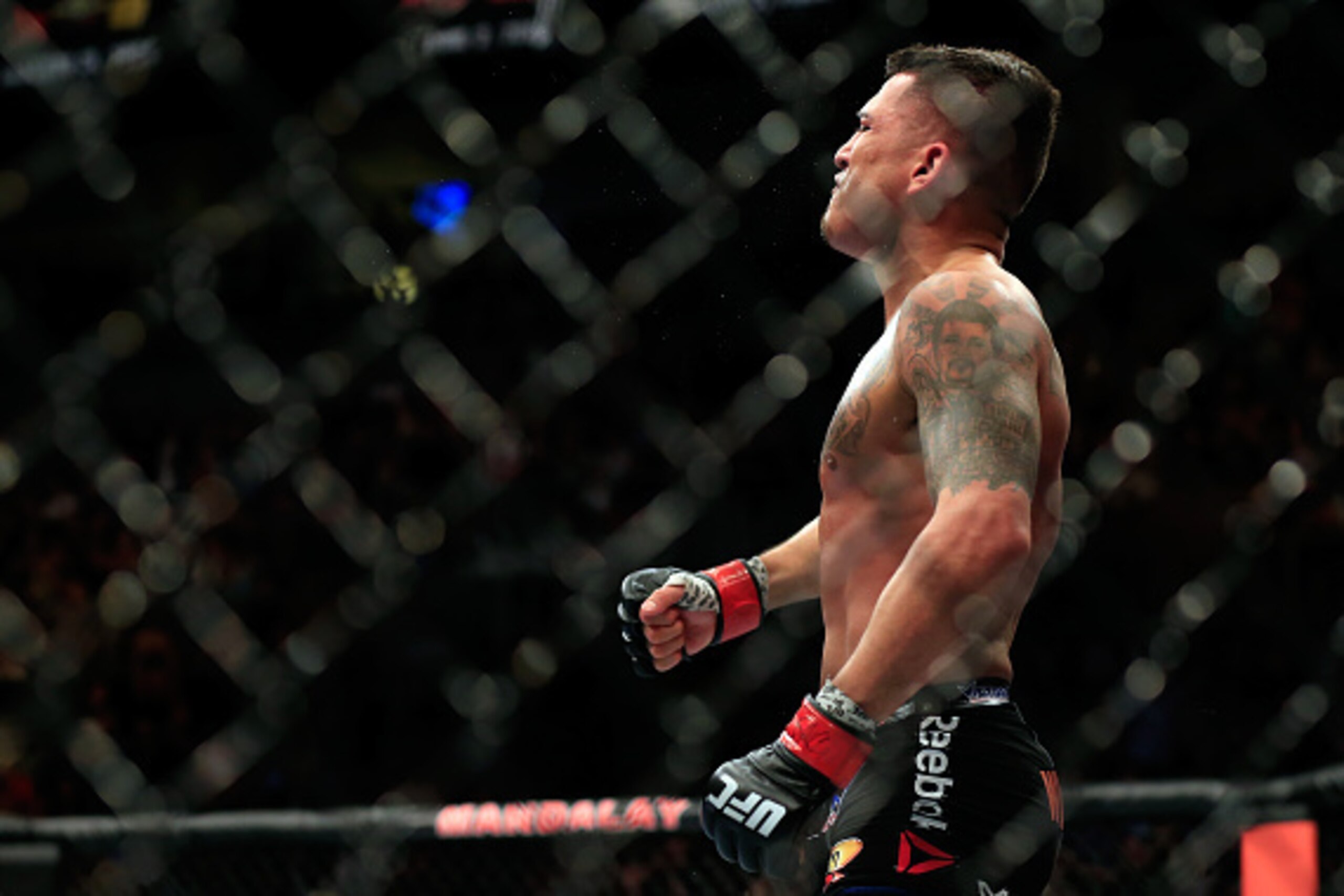 LAS VEGAS, NV - DECEMBER 06:  Anthony Pettis celebrates after defeating Gilbert Menendez in their lightweight title fight during the UFC 181 event at the Mandalay Bay Events Center on December 6, 2014 in Las Vegas, Nevada.  (Photo by Alex Trautwig/Getty I