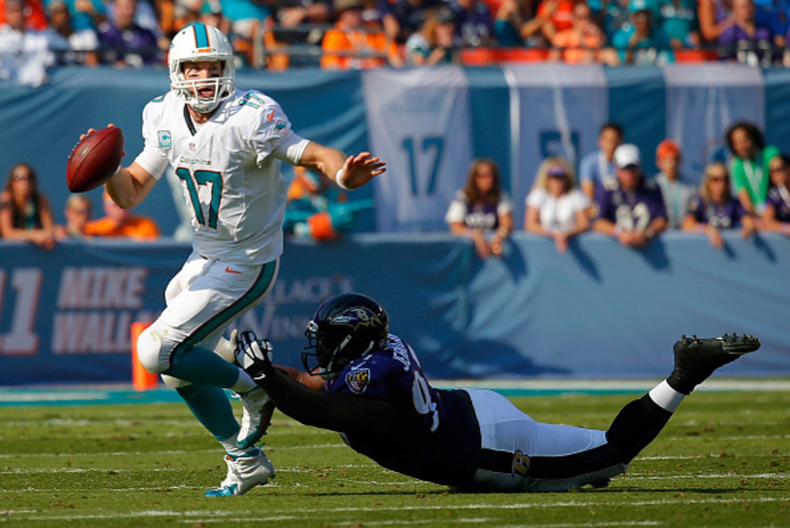 MIAMI GARDENS, FL - DECEMBER 07:  quarterback Ryan Tannehill #17 of the Miami Dolphins looks for a receiver in the second quarter as nose tackle Brandon Williams #98 of the Baltimore Ravens pursues during a game at Sun Life Stadium on December 7, 2014 in 