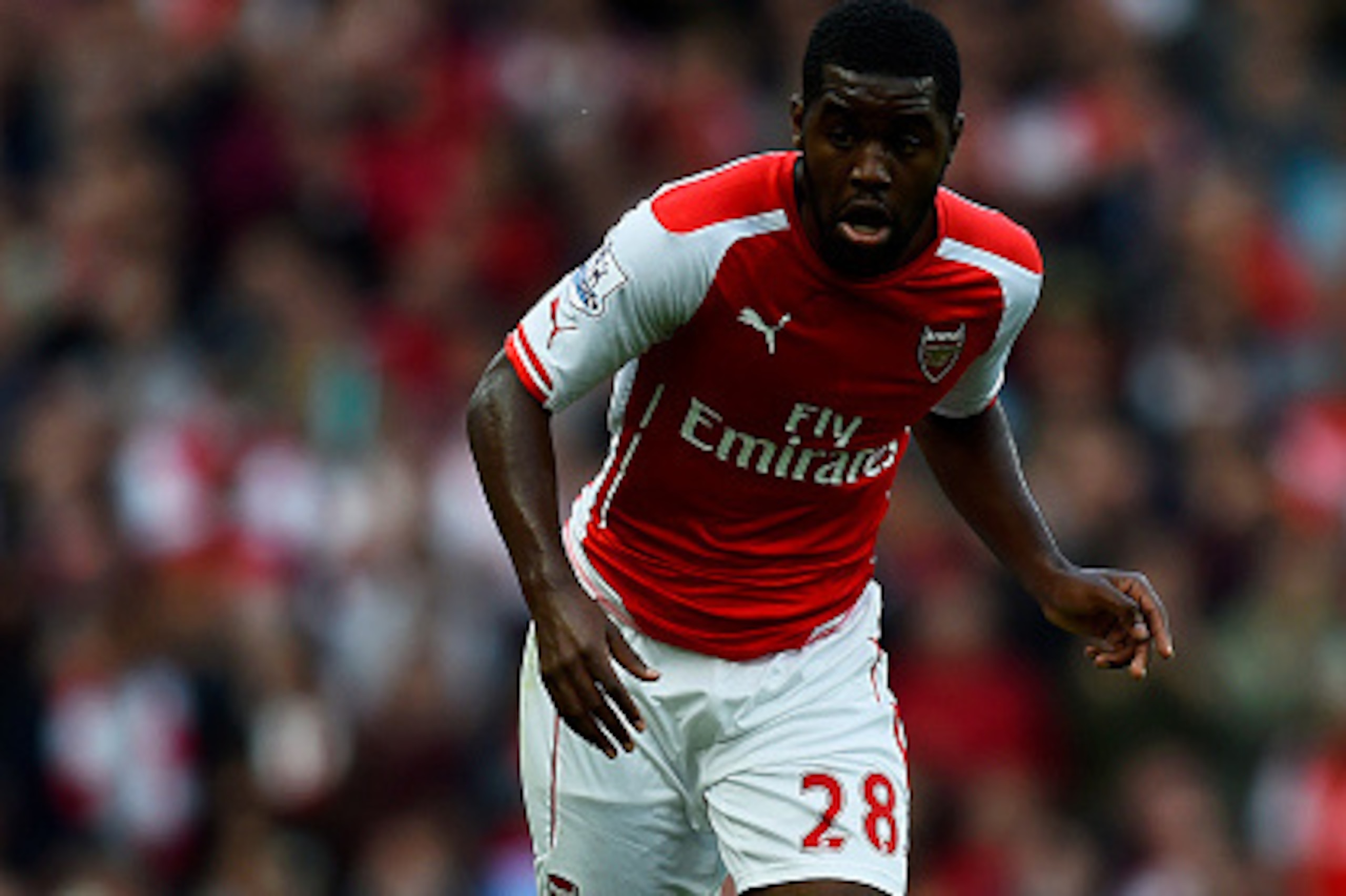 LONDON, ENGLAND - OCTOBER 18:  Joel Campbell of Arsenal in action during the Barclays Premier League match between Arsenal and Hull City at Emirates Stadium on October 18, 2014 in London, England.  (Photo by Mike Hewitt/Getty Images)