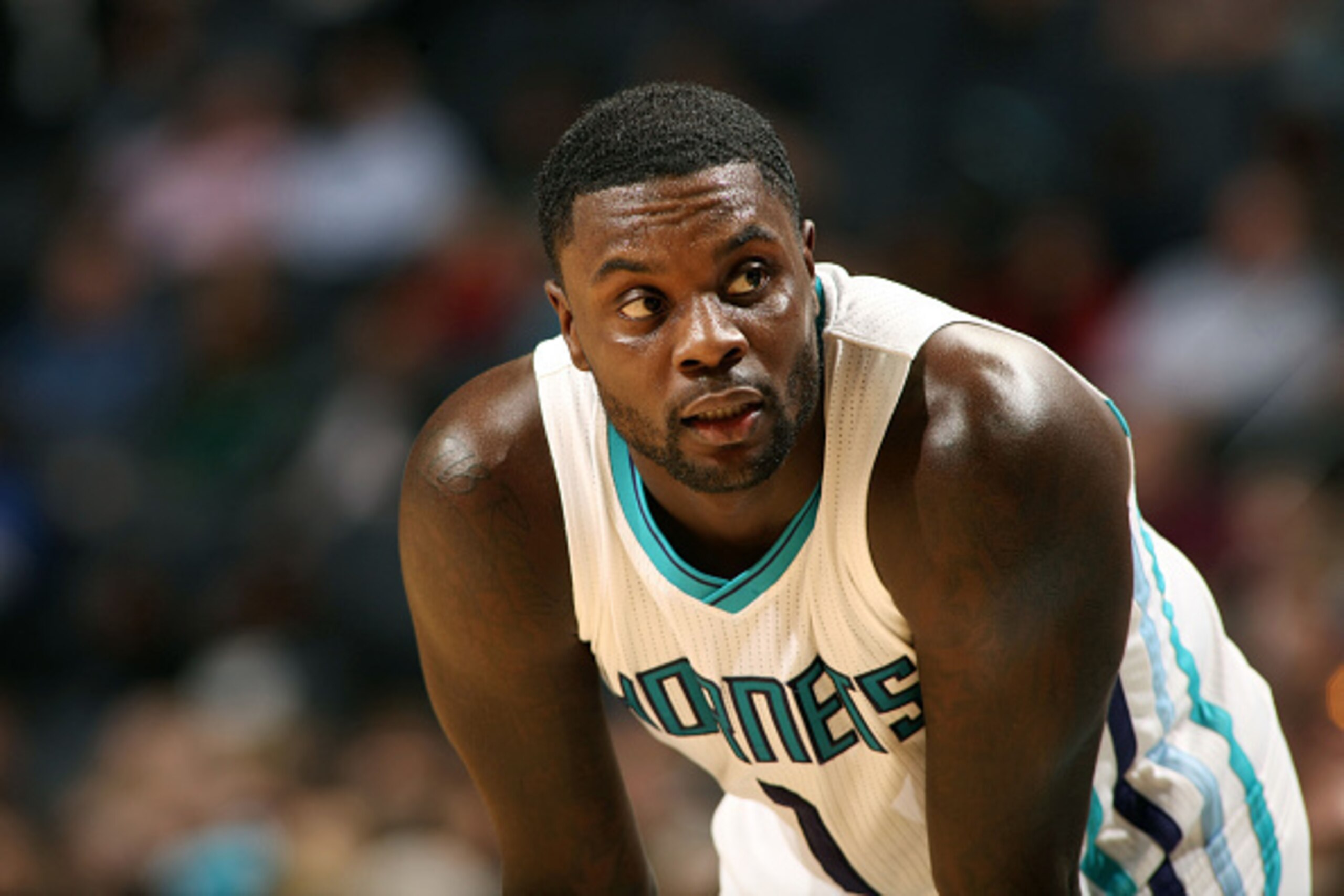 CHARLOTTE, NC - DECEMBER 3:  Lance Stephenson #1 of the Charlotte Hornets stands on the court during a game against  the Chicago Bulls at the Time Warner Cable Arena on December 3, 2014 in Charlotte, North Carolina. NOTE TO USER: User expressly acknowledg
