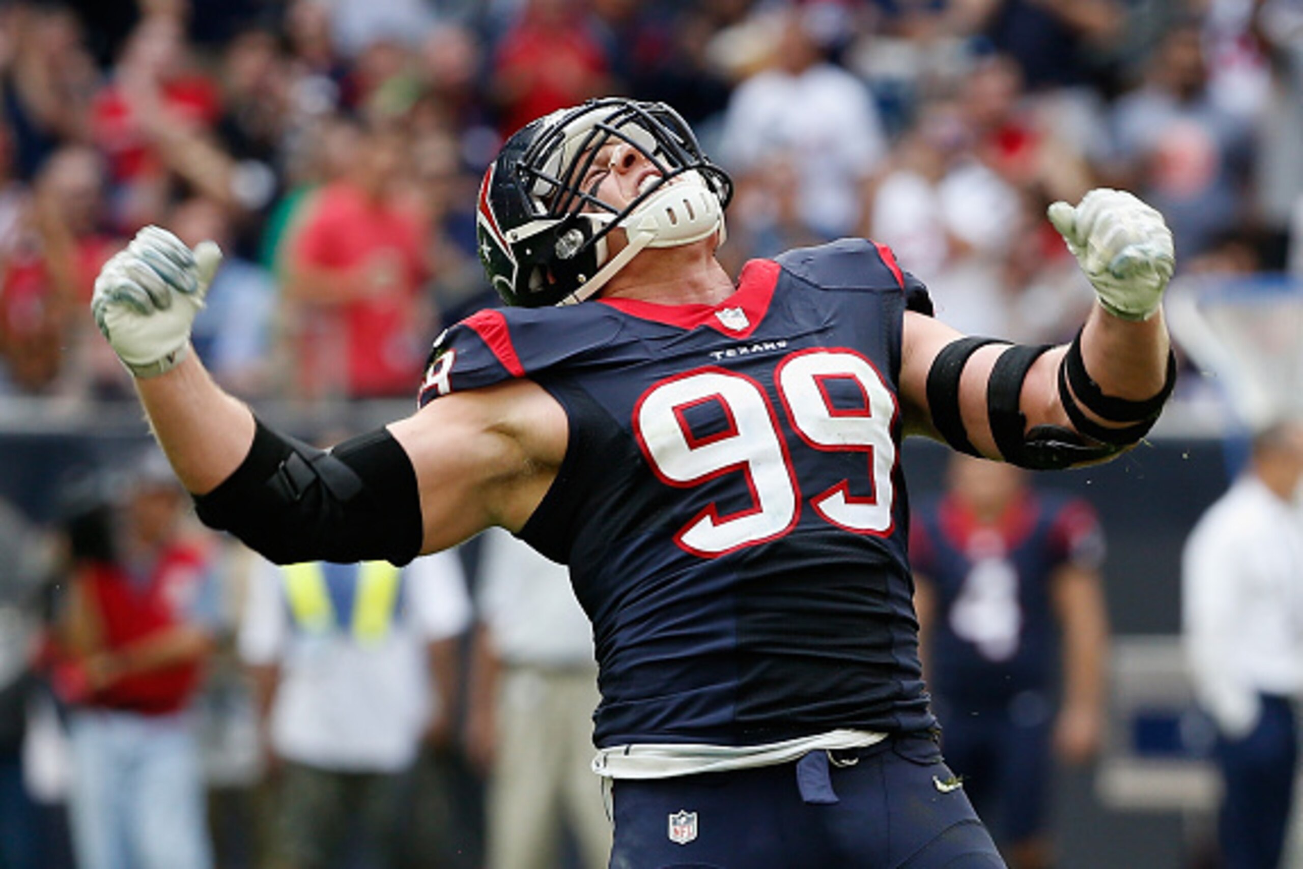HOUSTON, TX - NOVEMBER 30:  J.J. Watt #99 of the Houston Texans celebrates a sack in the first half of their game against the Tennessee Titans at NRG Stadium on November 30, 2014 in Houston, Texas.  (Photo by Scott Halleran/Getty Images)