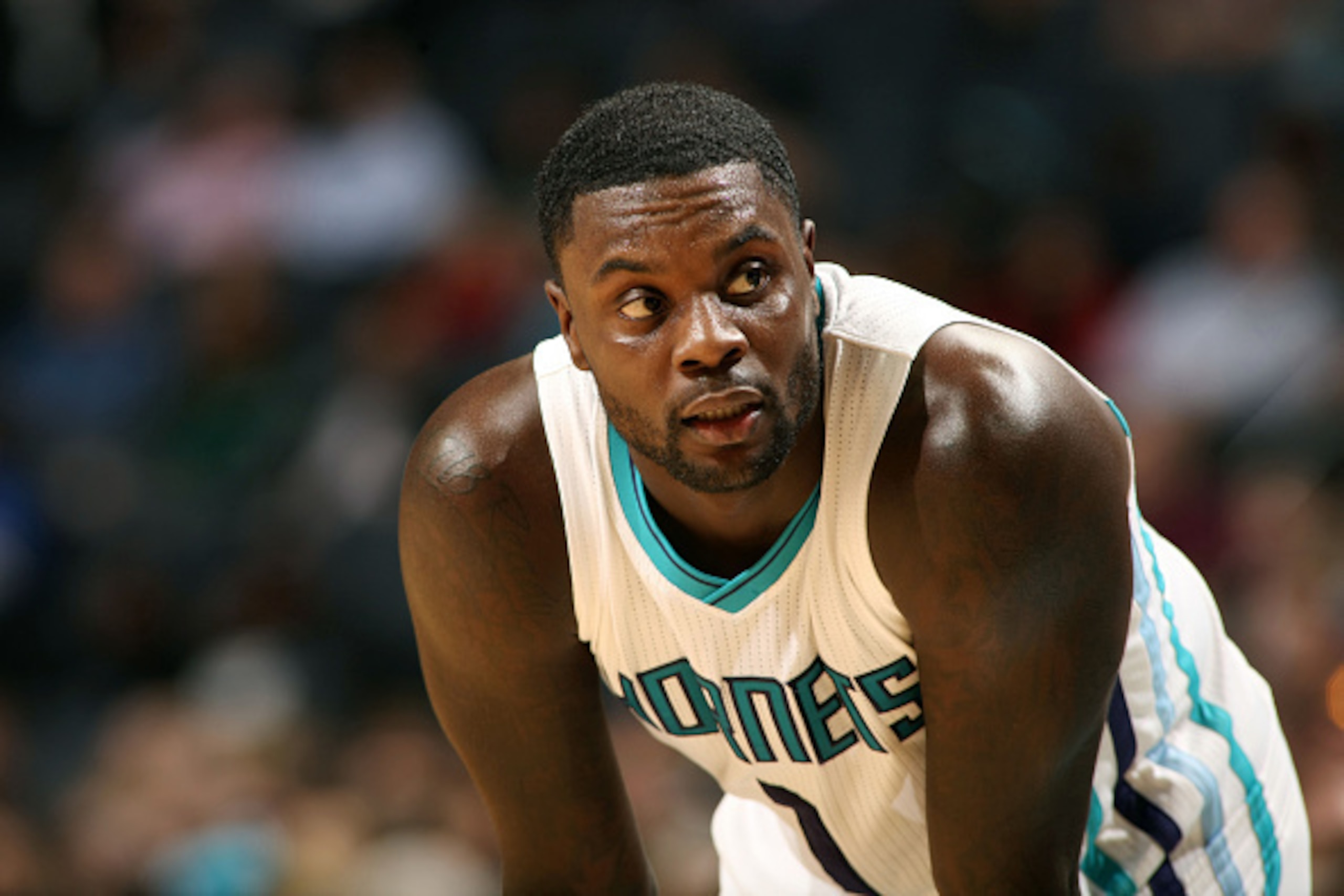 CHARLOTTE, NC - DECEMBER 3:  Lance Stephenson #1 of the Charlotte Hornets stands on the court during a game against  the Chicago Bulls at the Time Warner Cable Arena on December 3, 2014 in Charlotte, North Carolina. NOTE TO USER: User expressly acknowledg