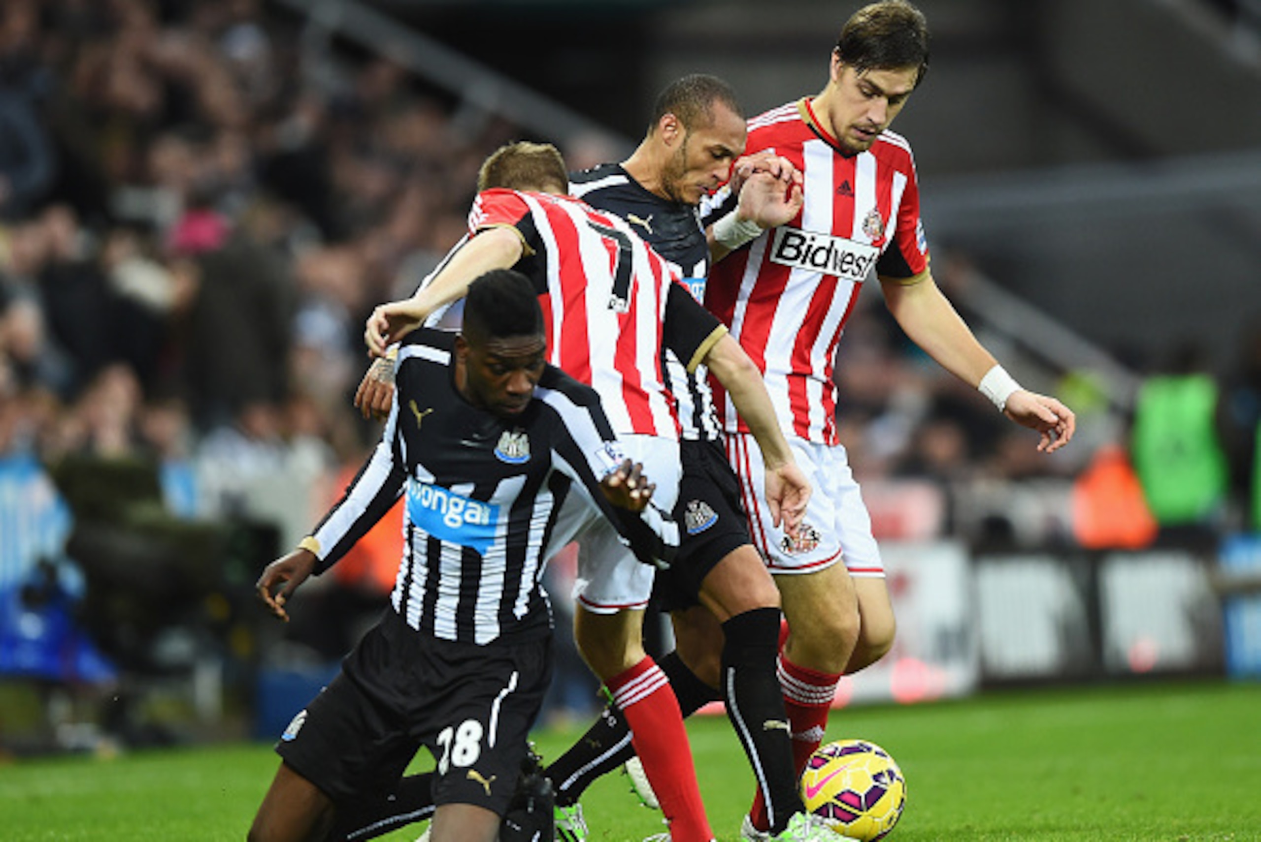 NEWCASTLE UPON TYNE, ENGLAND - DECEMBER 21:  Yoan Gouffran and Sammy Ameobi (L) of Newcastle United challenge for the ball with Sebastian Larsson (2ndL) and Sebastian Coates (R) of Sunderland during the Barclays Premier League match between Newcastle Unit