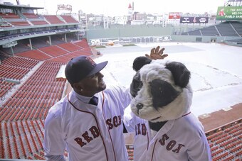 Not all bears go into hibernation for the winter.