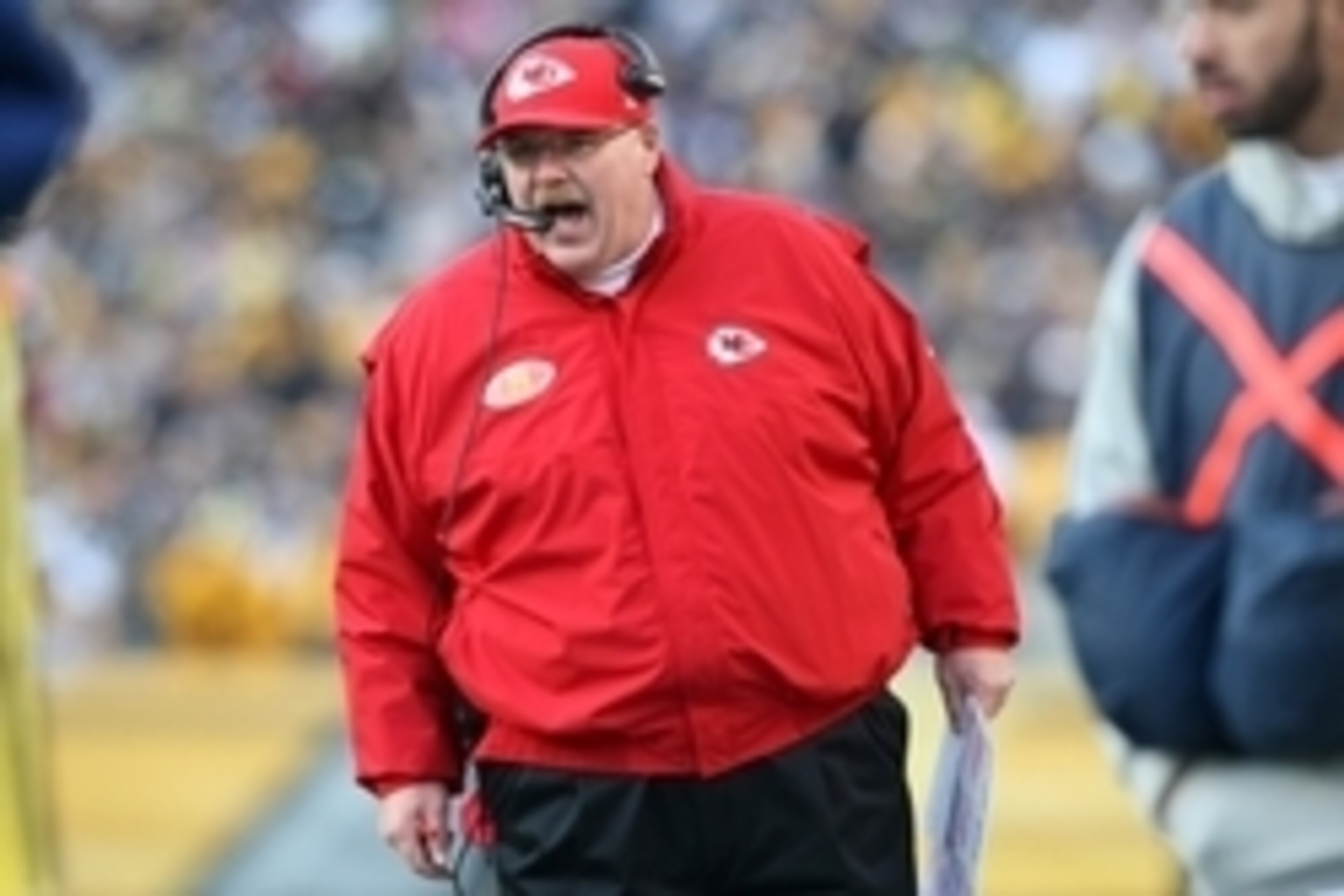 Dec 21, 2014; Pittsburgh, PA, USA; Kansas City Chiefs head coach Andy Reid yells to an official during the second half against the Pittsburgh Steelers at Heinz Field. The Steelers won the game, 20-12. Mandatory Credit: Jason Bridge-USA TODAY Sports