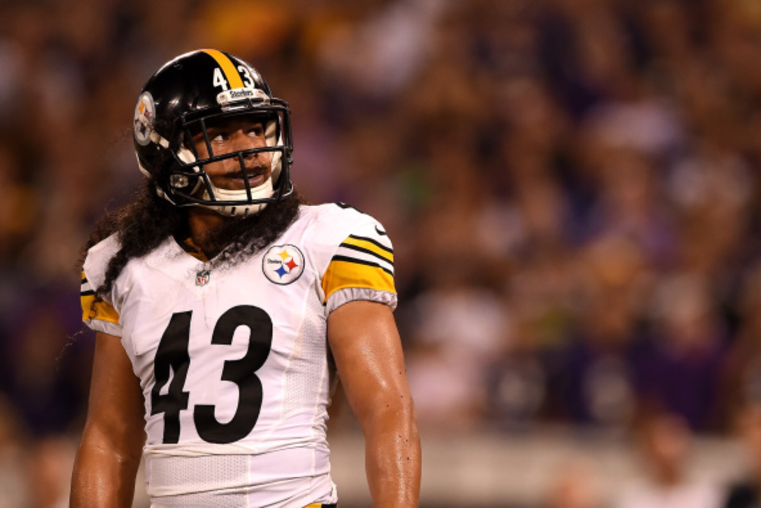 BALTIMORE, MD - SEPTEMBER 11: Strong safety Troy Polamalu #43 of the Pittsburgh Steelers looks on in the fourth quarter against the Baltimore Ravens at M&T Bank Stadium on September 11, 2014 in Baltimore, Maryland. (Photo by Patrick Smith/Getty Images)
