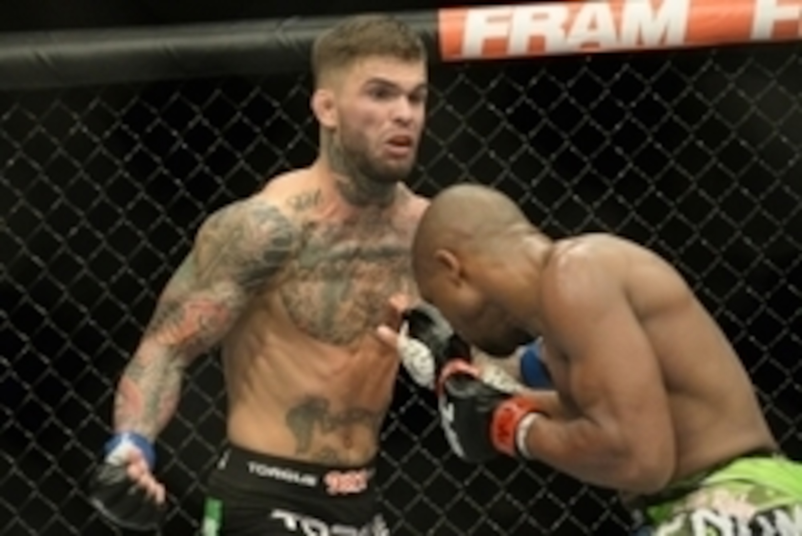Jan 3, 2015; Las Vegas, NV, USA; Cody Garbrandt (blue gloves) and Marcus Brimage (red gloves) in their bantamweight bout at UFC 182 at the MGM Grand Garden Arena. Garbrandt won. Mandatory Credit: Jayne Kamin-Oncea-USA TODAY Sports
