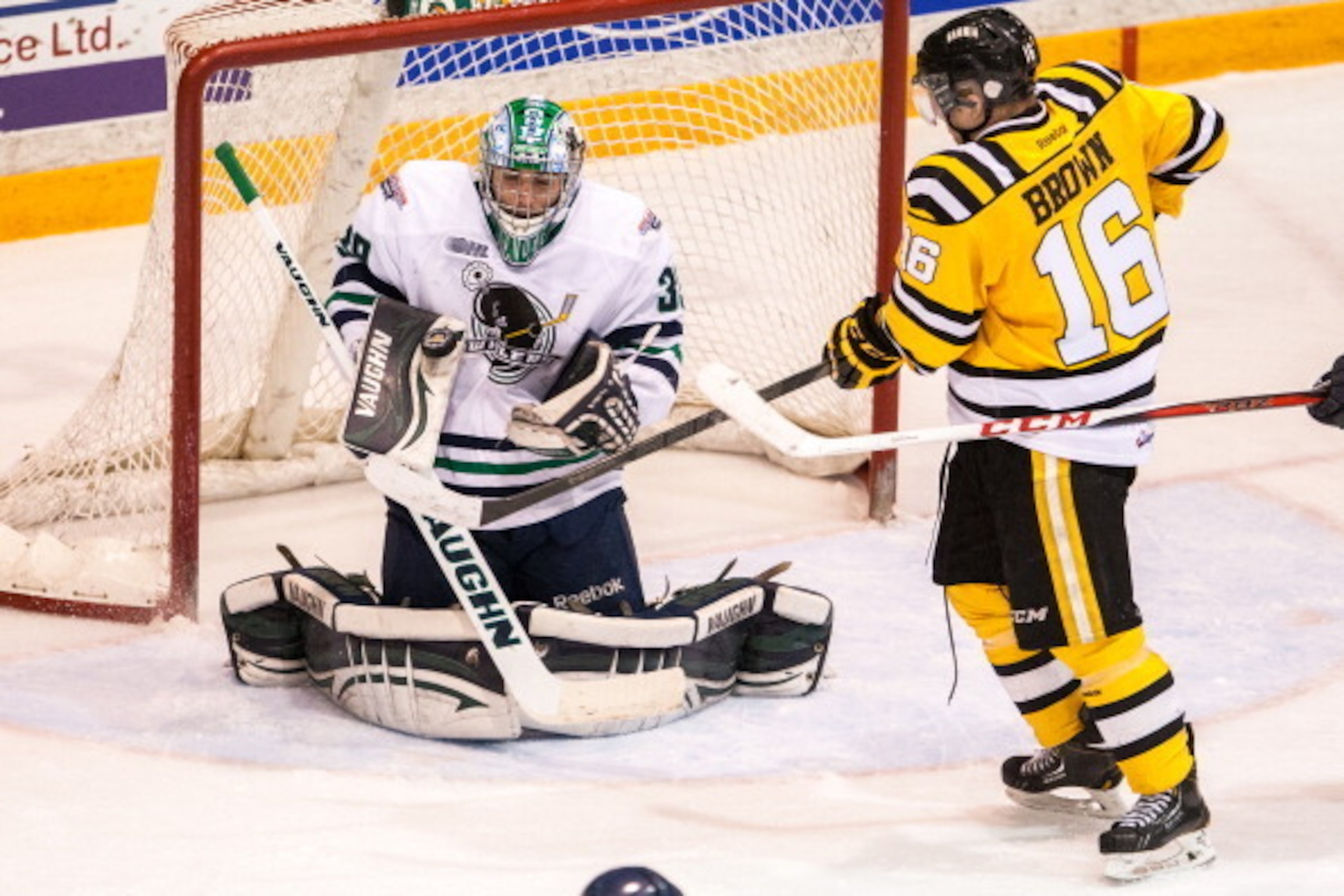 WINDSOR, ON - FEBRUARY 21: Alex Nedeljkovic #39 of the Plymouth Whalers makes a huge bloker save on a tip from Davis Brown #16 of the Sarnia Sting on February 21, 2014 at the RBC Centre in Sarnia, Ontario, Canada. (Photo by Dennis Pajot/Getty Images)