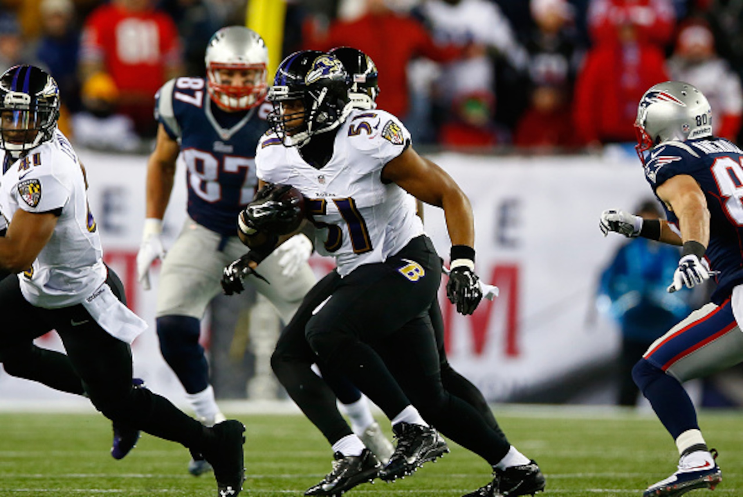 FOXBORO, MA - JANUARY 10: Daryl Smith #51 of the Baltimore Ravens runs after intercepting a pass by Tom Brady #12 of the New England Patriots in the second quarter during the 2015 AFC Divisional Playoffs game at Gillette Stadium on January 10, 2015 in F FOXBORO, MA - JANUARY 10: Daryl Smith #51 of the Baltimore Ravens runs after intercepting a pass by Tom Brady #12 of the New England Patriots in the second quarter during the 2015 AFC Divisional Playoffs game at Gillette Stadium on January 10, 2015 in F