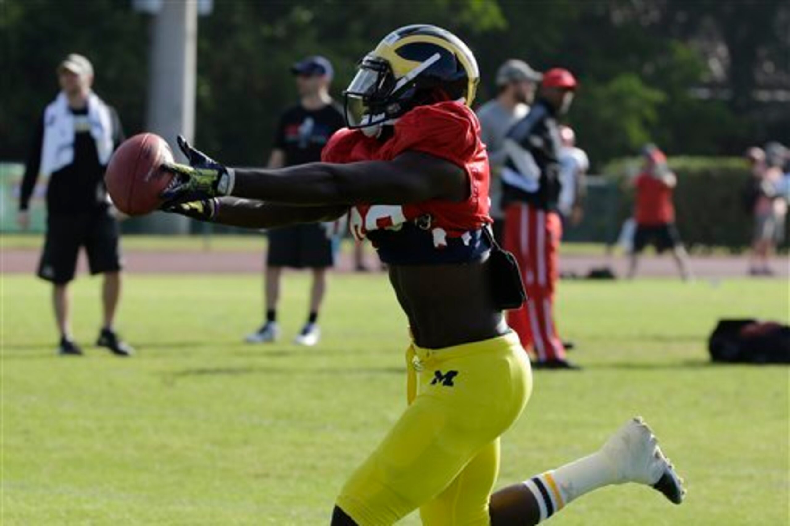 Michigan WR Devin Gardner