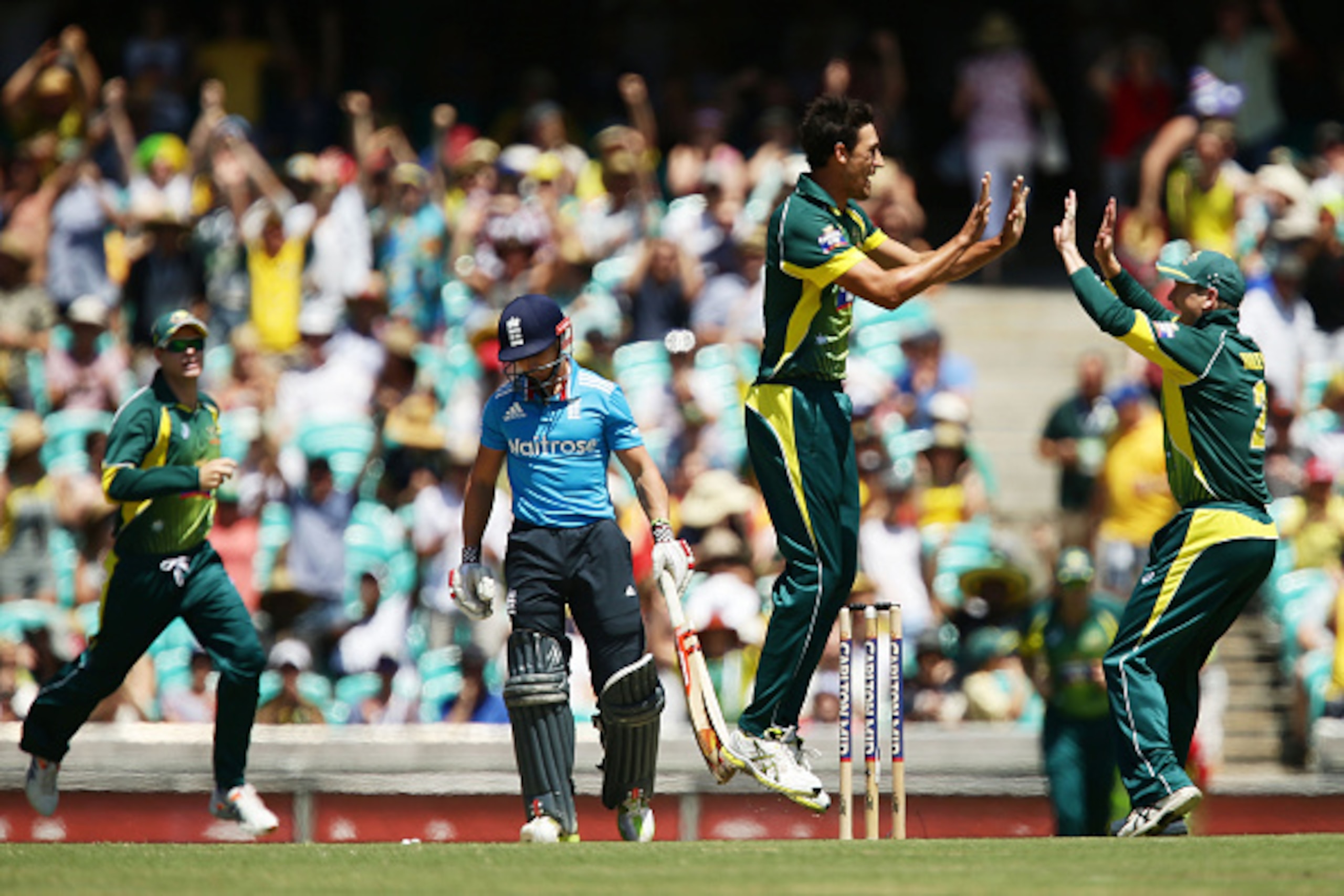 SYDNEY, AUSTRALIA - JANUARY 16:  Mitchell Starc of Australia celebrates with team mates after taking the wicket of James Taylor of England during the One Day International series match between Australia and England at Sydney Cricket Ground on January 16, 