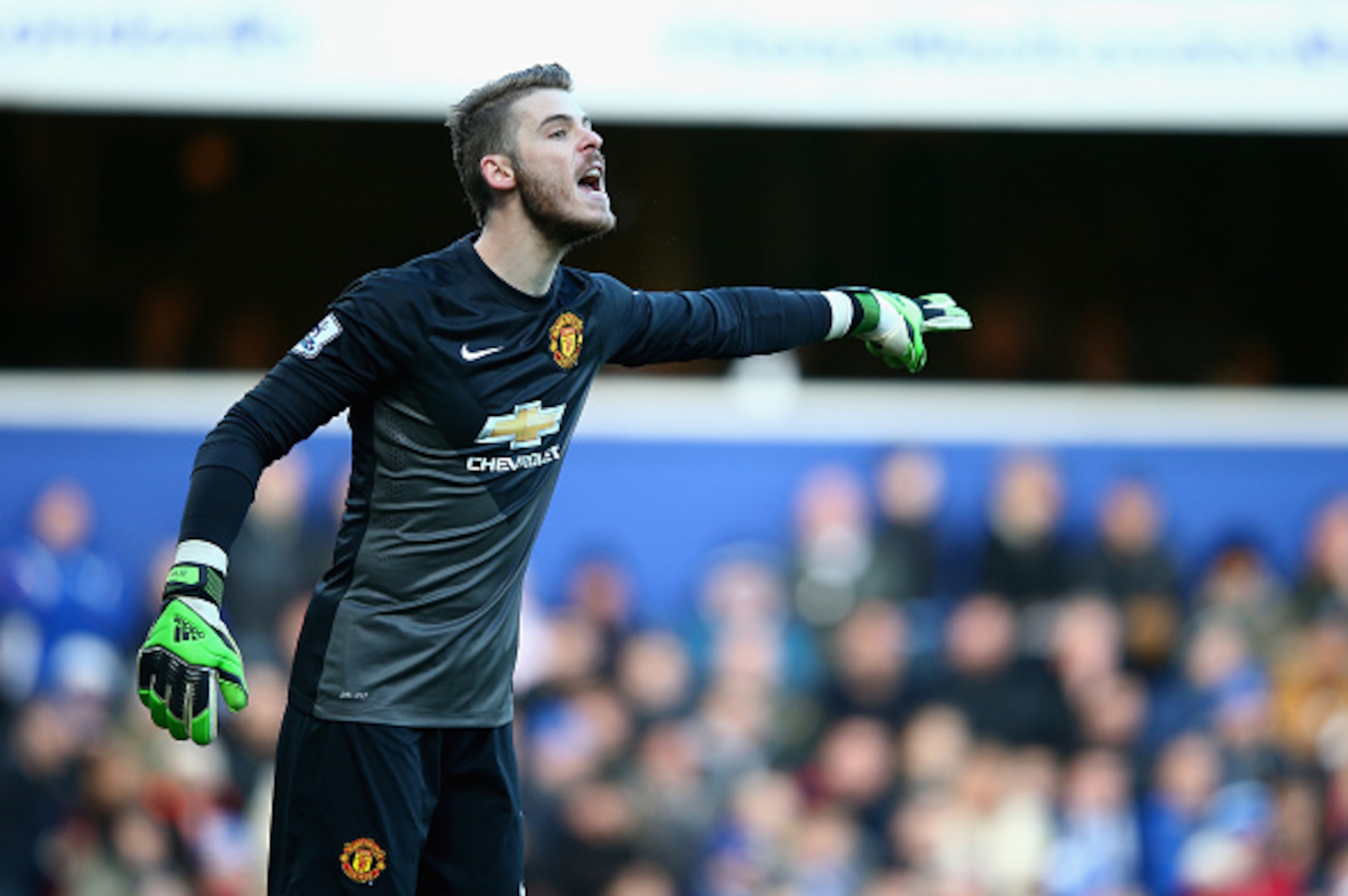 LONDON, ENGLAND - JANUARY 17:   David De Gea of  Manchester United in action during the Barclays Premier League match between Queens Park Rangers and Manchester United at Loftus Road on January 17, 2015 in London, England.  (Photo by Mark Thompson/Getty I