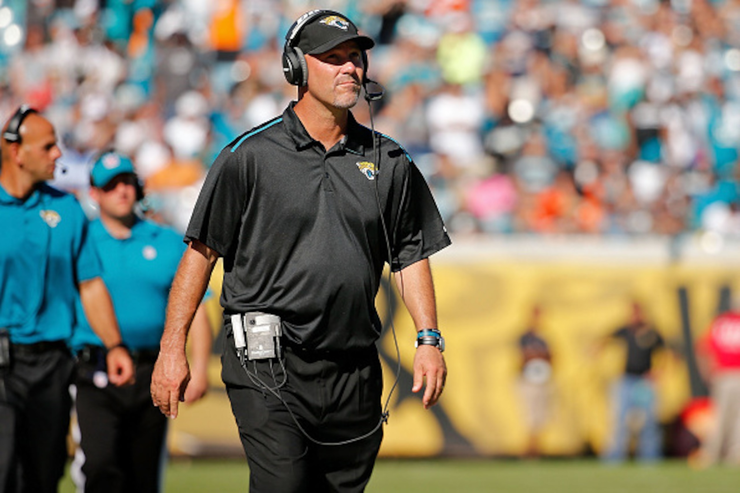 JACKSONVILLE, FL - OCTOBER 26: Head coach Gus Bradley of the Jacksonville Jaguars looks on during the fourth quarter of the game against the Miami Dolphins at EverBank Field on October 26, 2014 in Jacksonville, Florida.  (Photo by Rob Foldy/Getty Images)