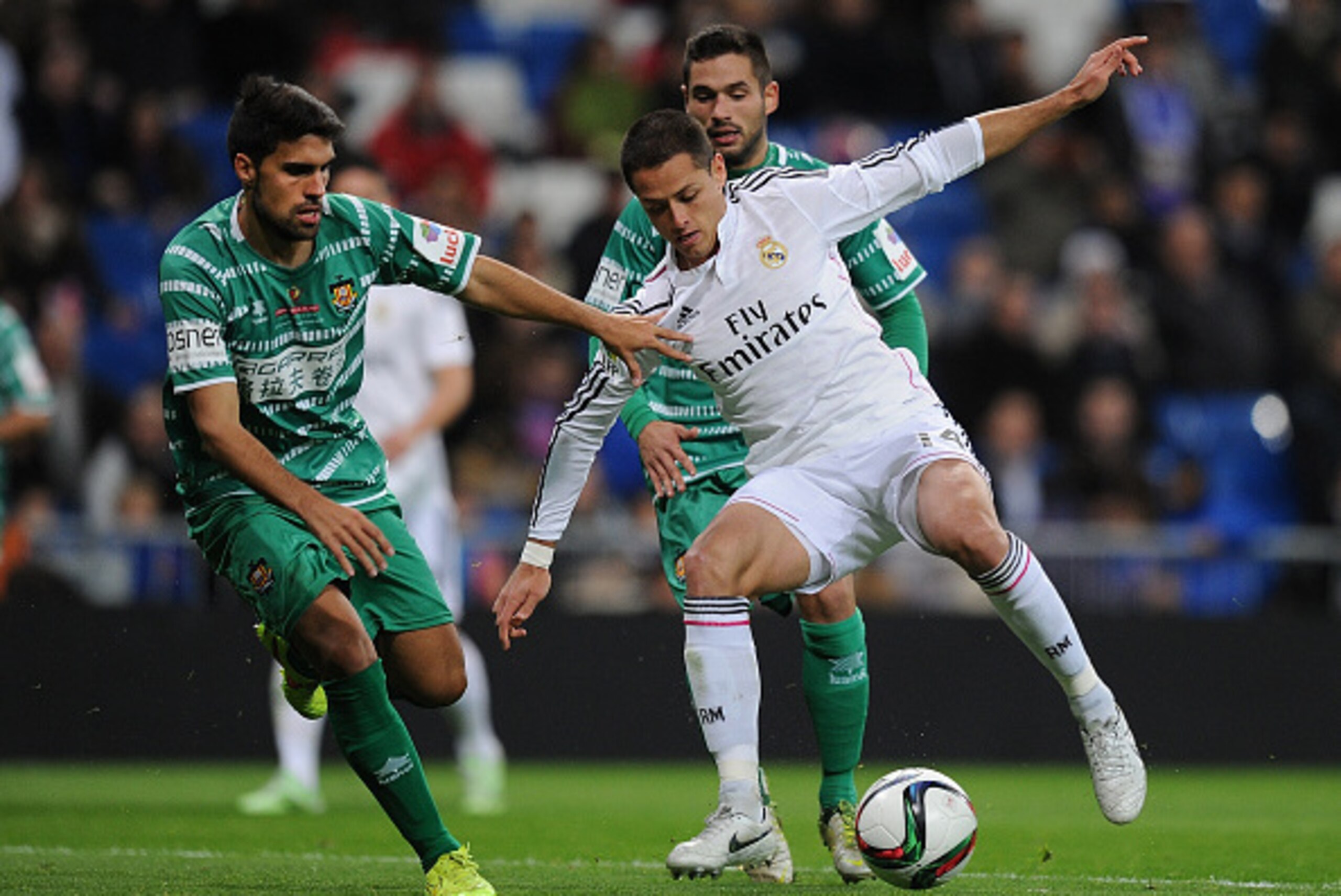 MADRID, SPAIN - DECEMBER 02: Javier 'Chicharito' Hernandez of Real Madrid is tackled by Carlos Borja of Cornella during the Copa Del Rey Round of 32, Second Leg match between Real Madrid CF and Cornella at Santiago Bernabeu stadium on December 2, 2014 in MADRID, SPAIN - DECEMBER 02: Javier 'Chicharito' Hernandez of Real Madrid is tackled by Carlos Borja of Cornella during the Copa Del Rey Round of 32, Second Leg match between Real Madrid CF and Cornella at Santiago Bernabeu stadium on December 2, 2014 in