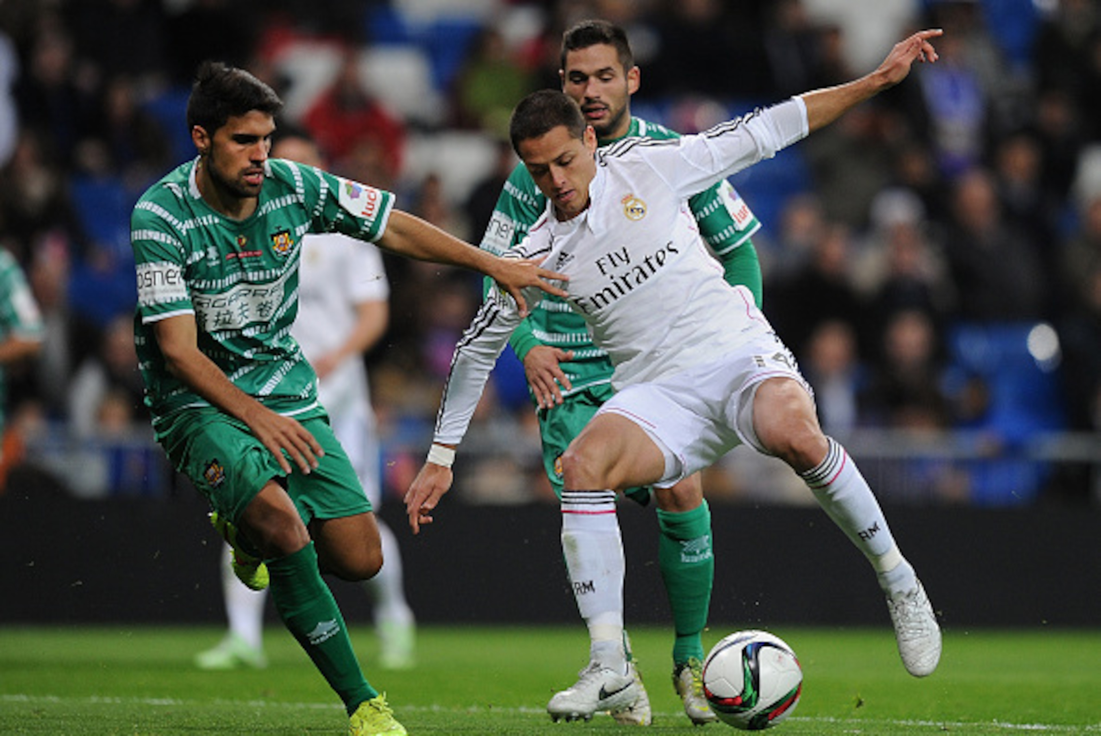 MADRID, SPAIN - DECEMBER 02:  Javier 'Chicharito' Hernandez of Real Madrid is tackled by Carlos Borja of Cornella during the Copa Del Rey Round of 32, Second Leg match between Real Madrid CF and Cornella at Santiago Bernabeu stadium on December 2, 2014 in