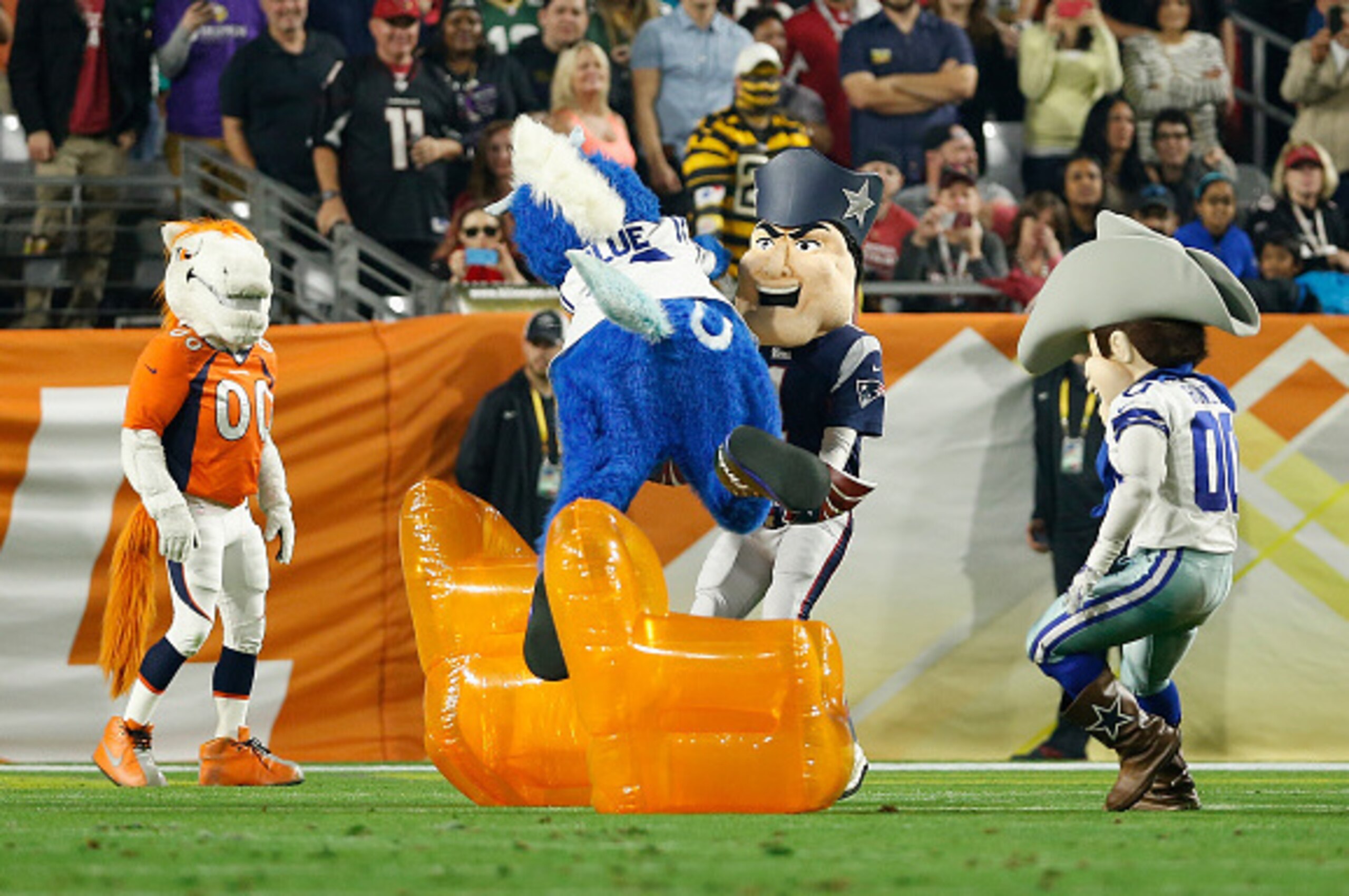 GLENDALE, AZ - JANUARY 25: The Indianapolis Colts mascot (left) runs in to the New England Patriots mascot during the first half of 2015 Pro Bowl at University of Phoenix Stadium on January 25, 2015 in Glendale, Arizona.  (Photo by Christian Petersen/Gett