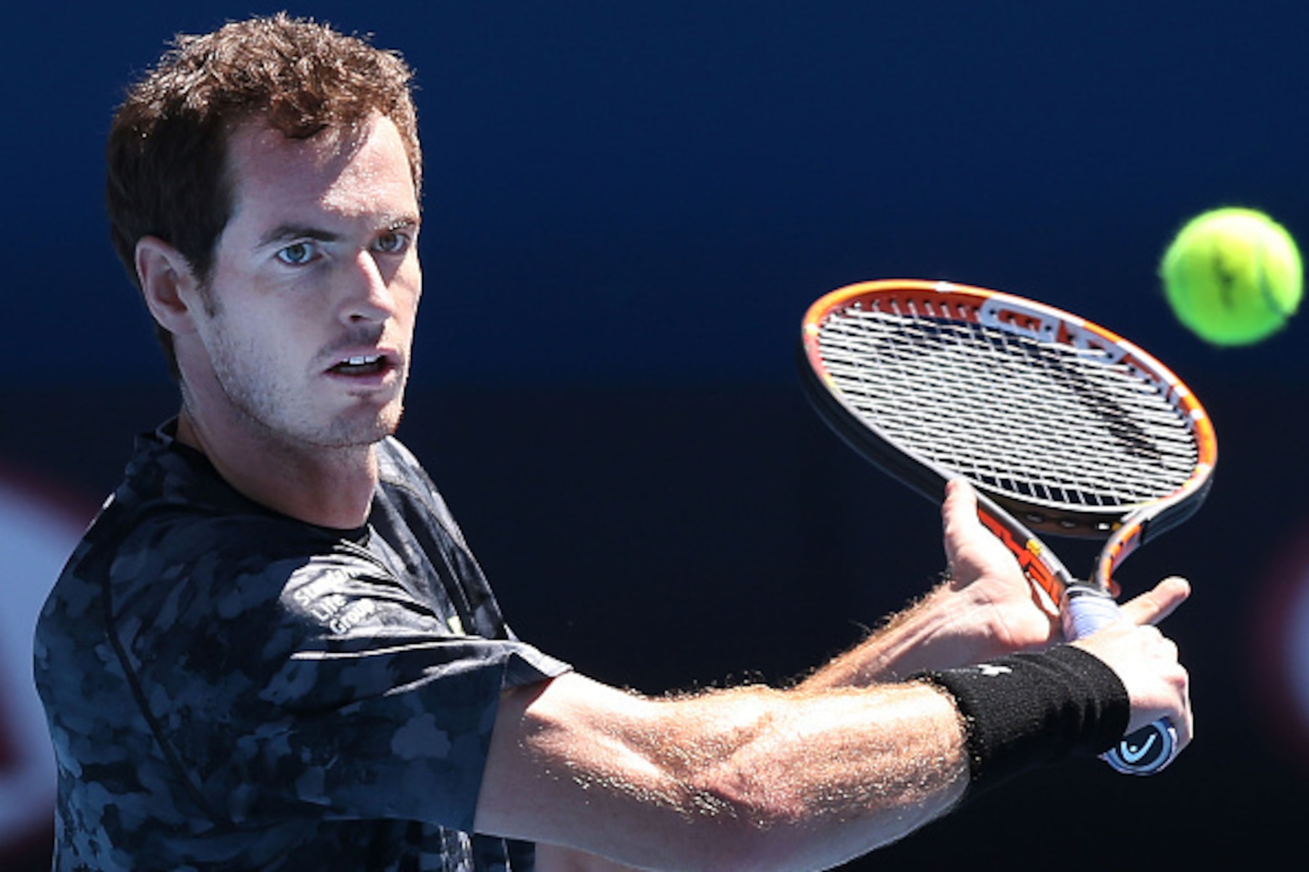MELBOURNE, AUSTRALIA - JANUARY 16:  Andy Murray of Great Britain hits a backhand volley during a practice session ahead of the 2015 Australian Open at Melbourne Park on January 16, 2015 in Melbourne, Australia.  (Photo by Michael Dodge/Getty Images)