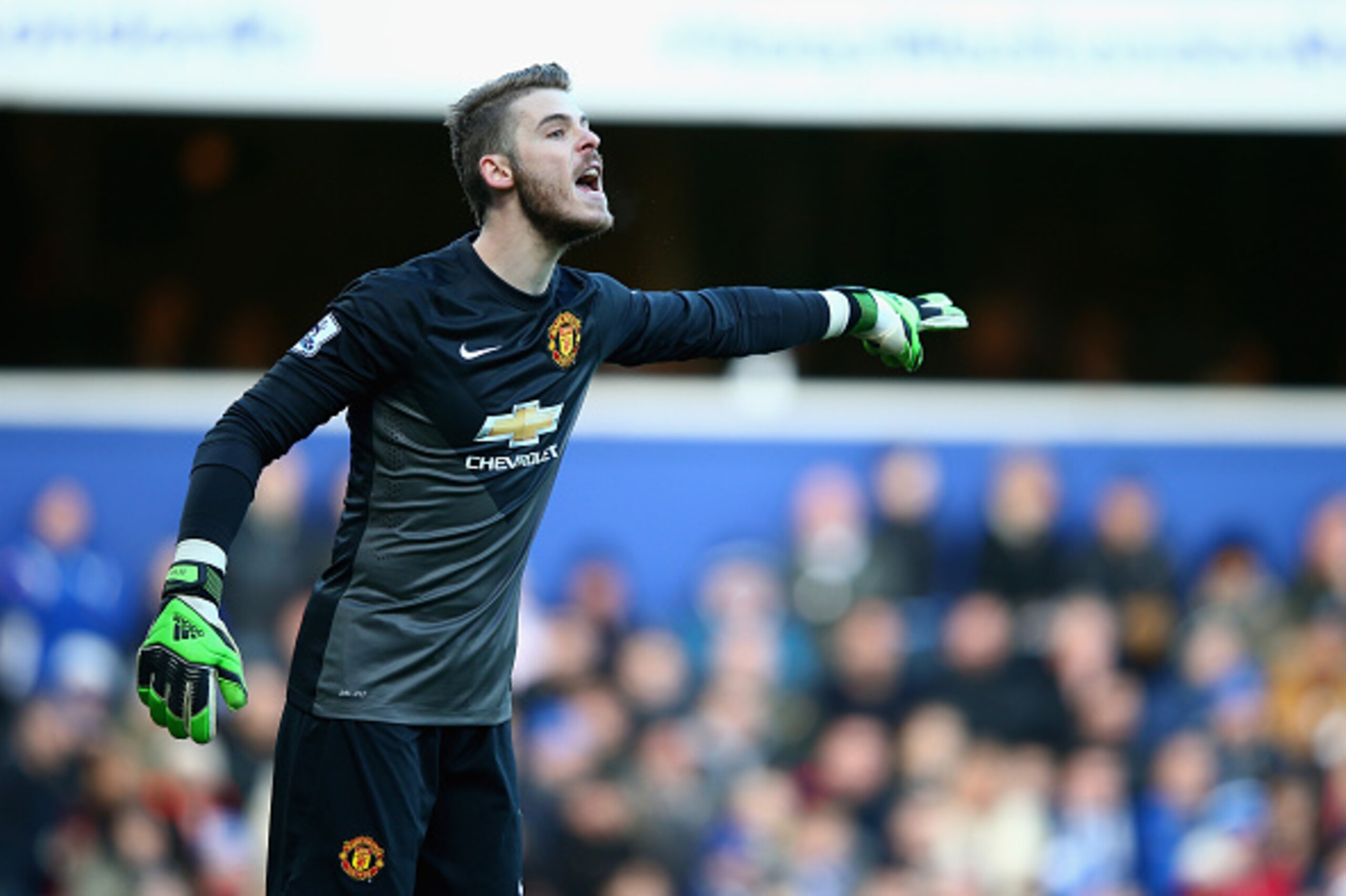 LONDON, ENGLAND - JANUARY 17:   David De Gea of  Manchester United in action during the Barclays Premier League match between Queens Park Rangers and Manchester United at Loftus Road on January 17, 2015 in London, England.  (Photo by Mark Thompson/Getty I