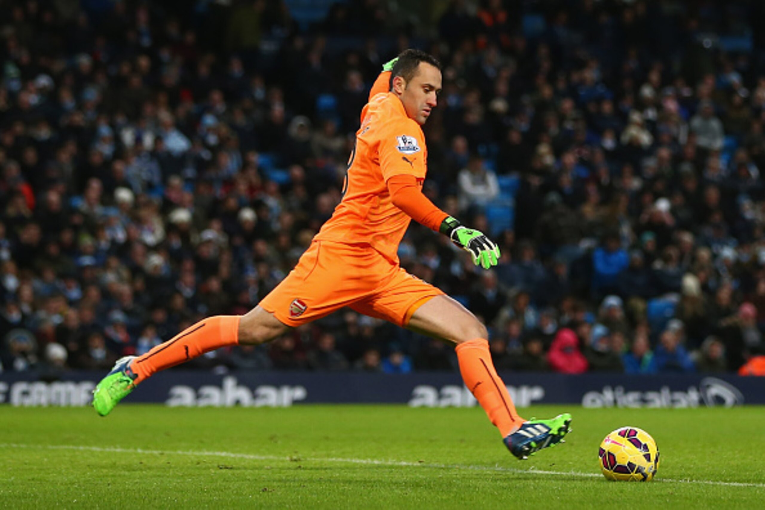 MANCHESTER, ENGLAND - JANUARY 18: David Ospina of Arsenal during the Barclays Premier League match between Manchester City and Arsenal at the Etihad Stadium on January 18, 2015 in Manchester, England.  (Photo by Michael Steele/Getty Images)
