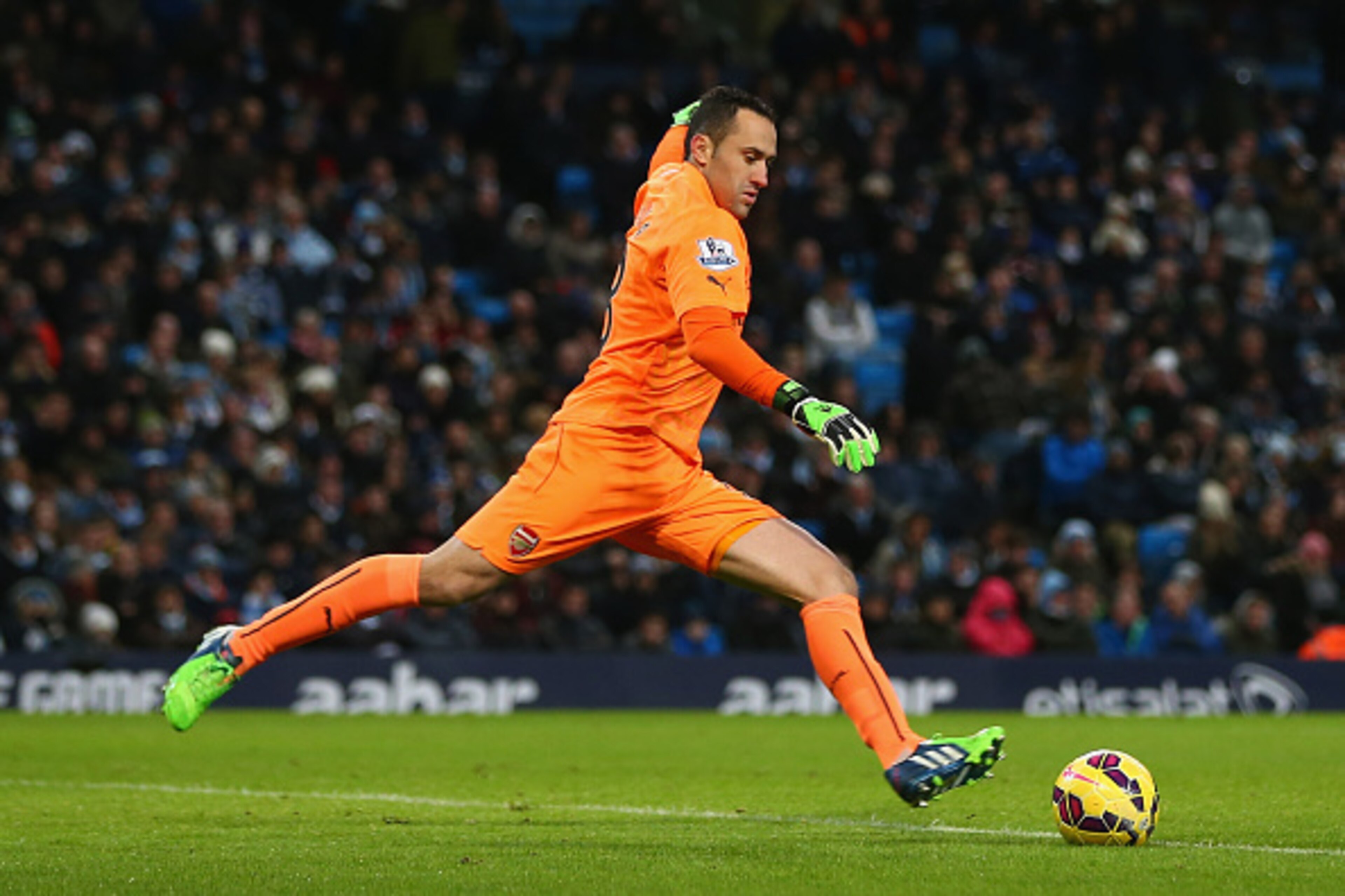 MANCHESTER, ENGLAND - JANUARY 18: David Ospina of Arsenal during the Barclays Premier League match between Manchester City and Arsenal at the Etihad Stadium on January 18, 2015 in Manchester, England.  (Photo by Michael Steele/Getty Images)
