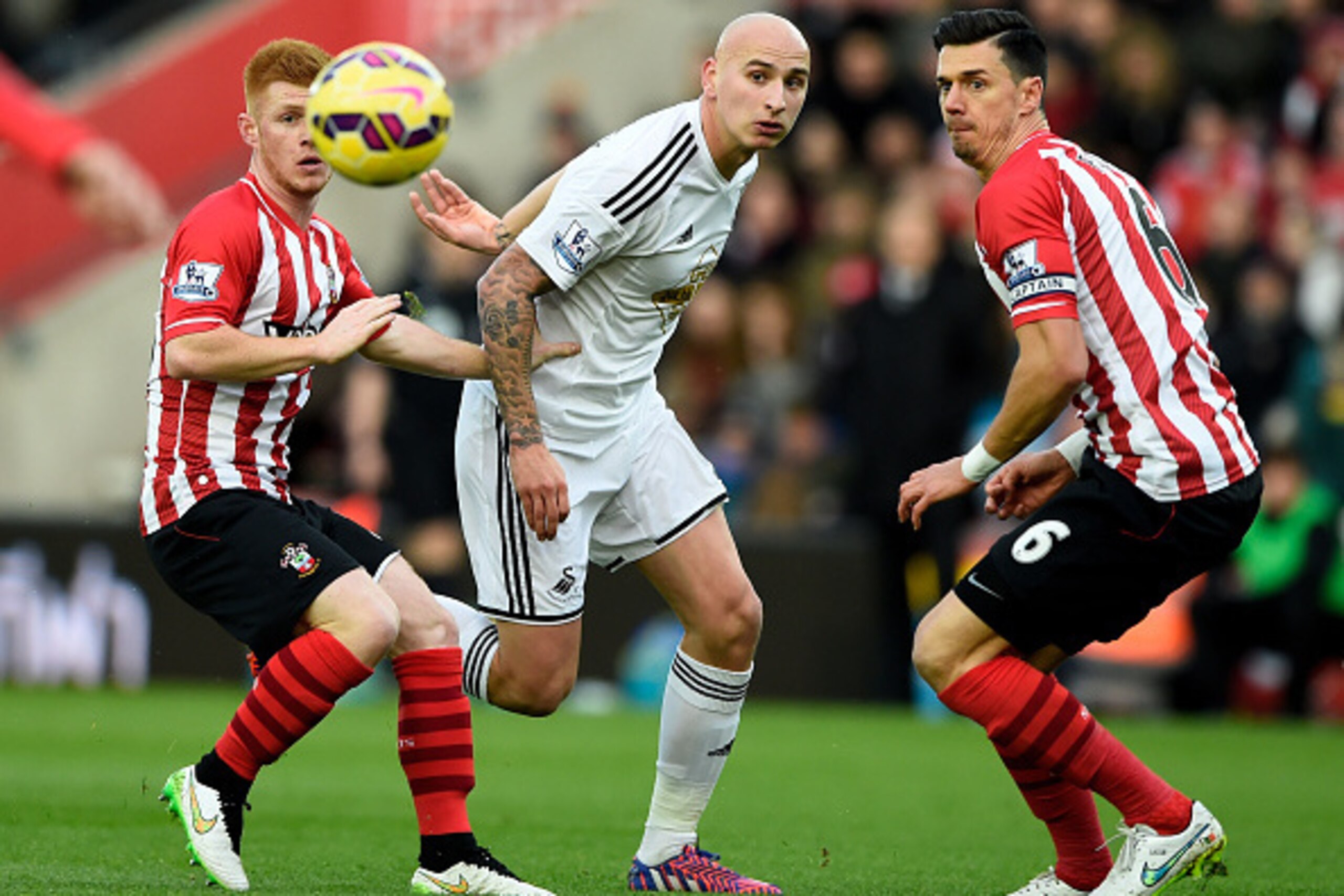 SOUTHAMPTON, ENGLAND - FEBRUARY 01: (L-R)Harrison Reed of Southampton, Jonjo Shelvey of Swansea City and Jose Fonte of Southampton compete for the ball during the Barclays Premier League match between Southampton and Swansea City at St Mary's Stadium on SOUTHAMPTON, ENGLAND - FEBRUARY 01: (L-R)Harrison Reed of Southampton, Jonjo Shelvey of Swansea City and Jose Fonte of Southampton compete for the ball during the Barclays Premier League match between Southampton and Swansea City at St Mary's Stadium on
