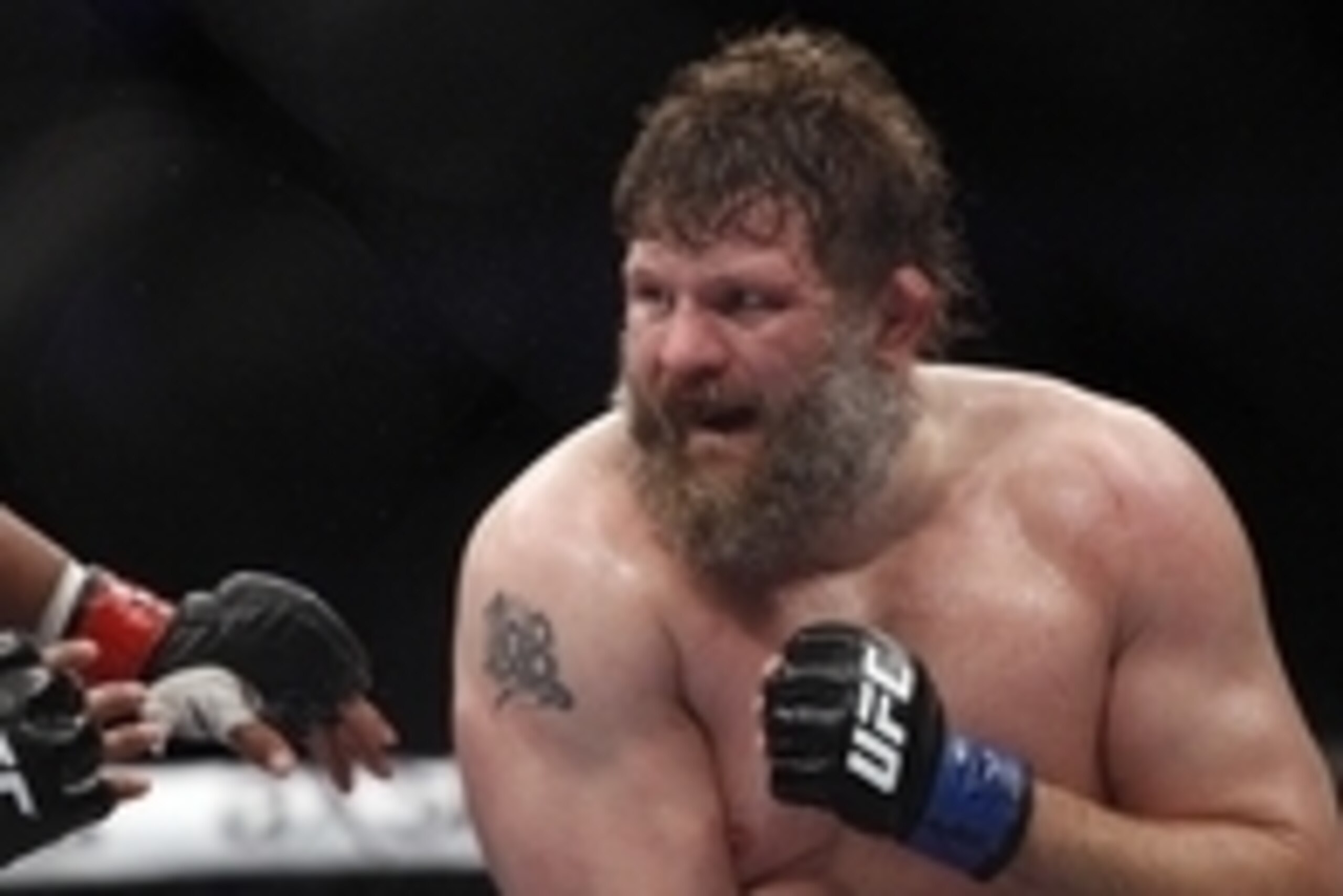 Oct 19, 2013; Houston, TX, USA; Daniel Cormier (red gloves) fights against Roy Nelson (blue gloves) in their heavyweight bout during UFC 166 at Toyota Center. Mandatory Credit: Andrew Richardson-USA TODAY Sports Oct 19, 2013; Houston, TX, USA; Daniel Cormier (red gloves) fights against Roy Nelson (blue gloves) in their heavyweight bout during UFC 166 at Toyota Center. Mandatory Credit: Andrew Richardson-USA TODAY Sports