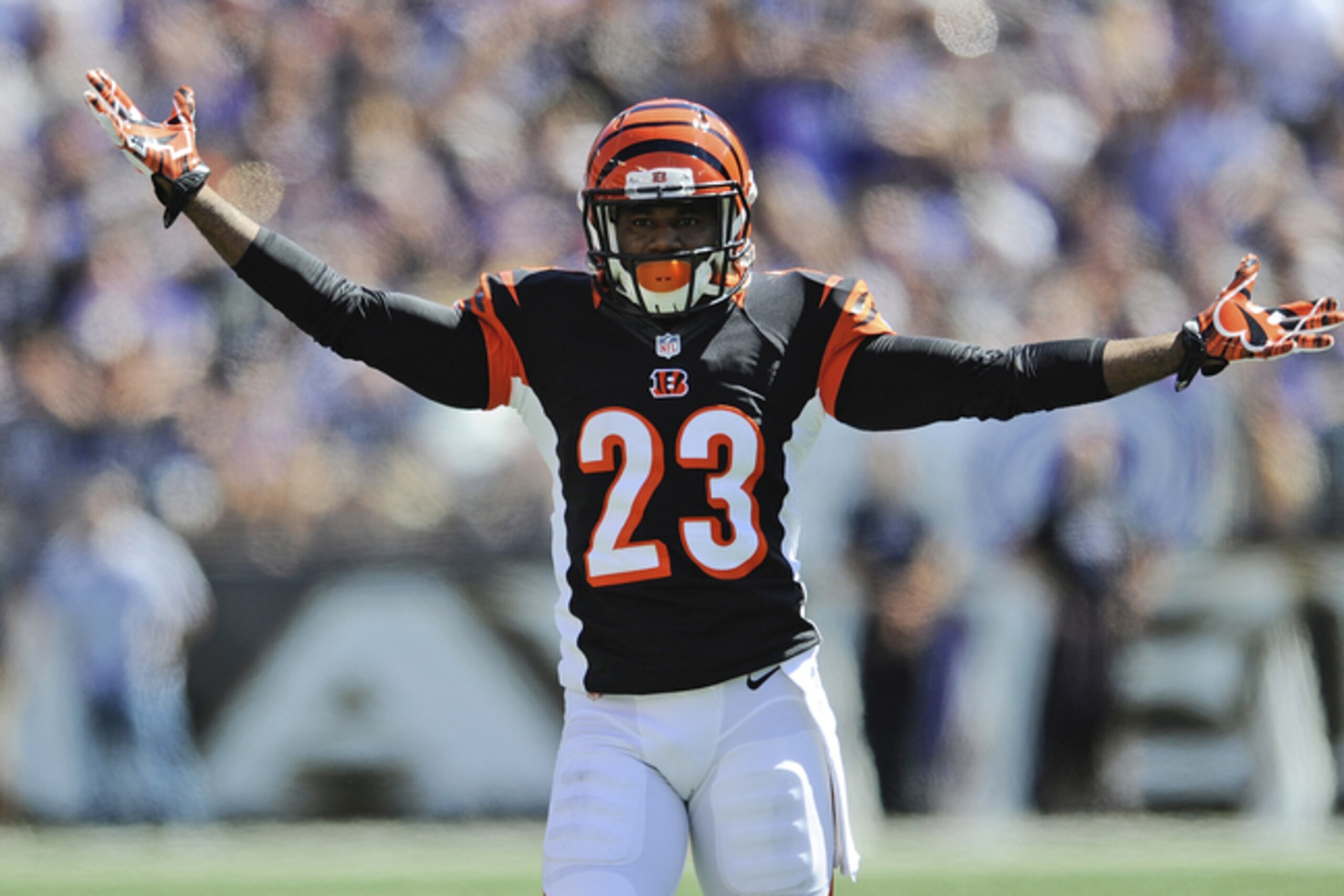 Terence Newman was a strong complementary, cost-effective add in 2012.