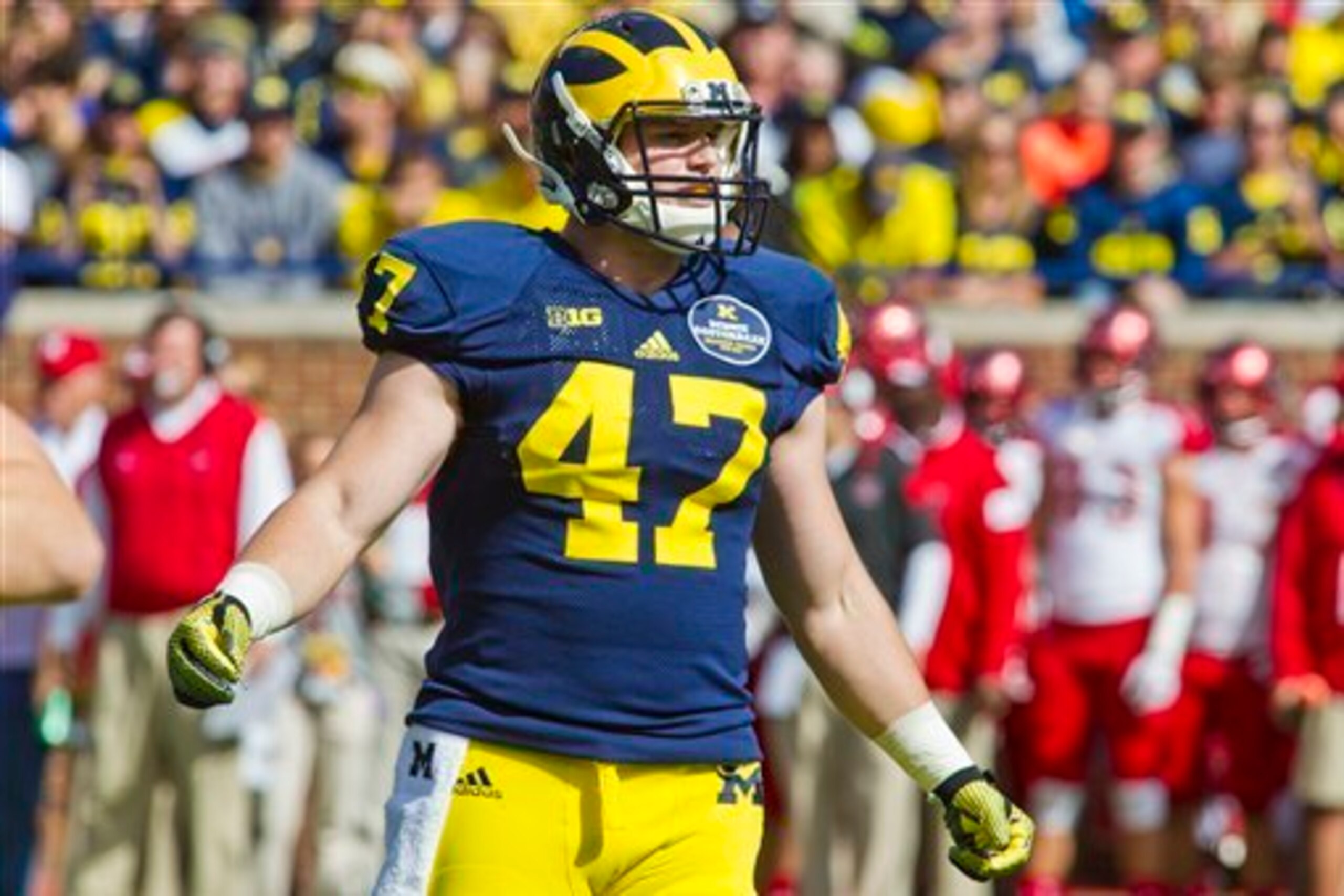 Jake Ryan didn't appear to be 100 percent for most of 2014 but still had a solid year.
