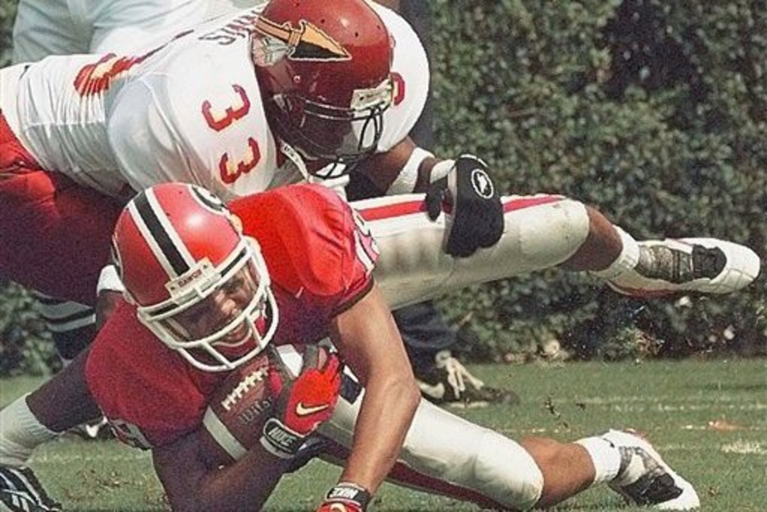 Hines Ward was a star at Georgia.