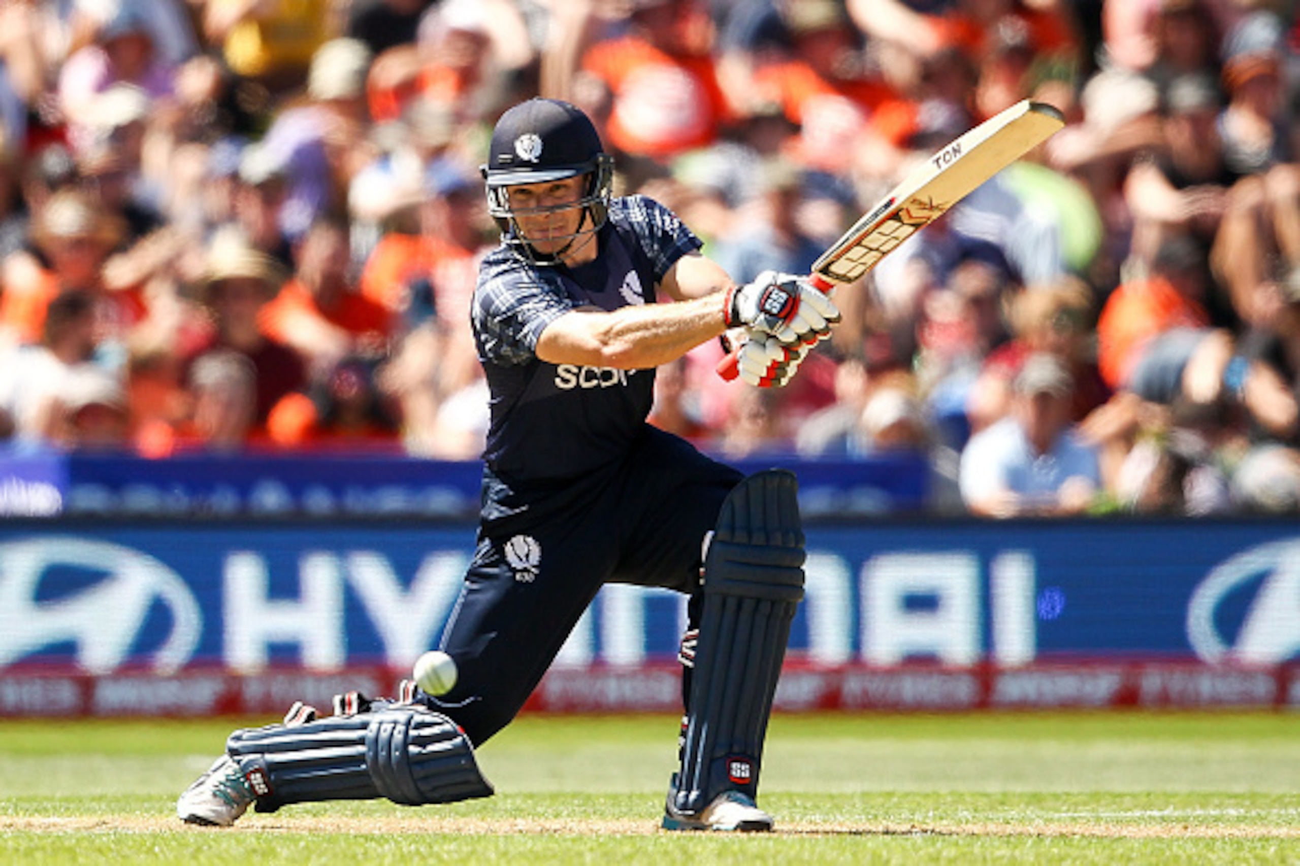 DUNEDIN, NEW ZEALAND - FEBRUARY 17: Richie Berrington of Scotland bats during the ICC Cricket World Cup match between New Zealand and Scotland at University Oval on February 17, 2015 in Dunedin, New Zealand.  (Photo by Martin Hunter/Getty Images)