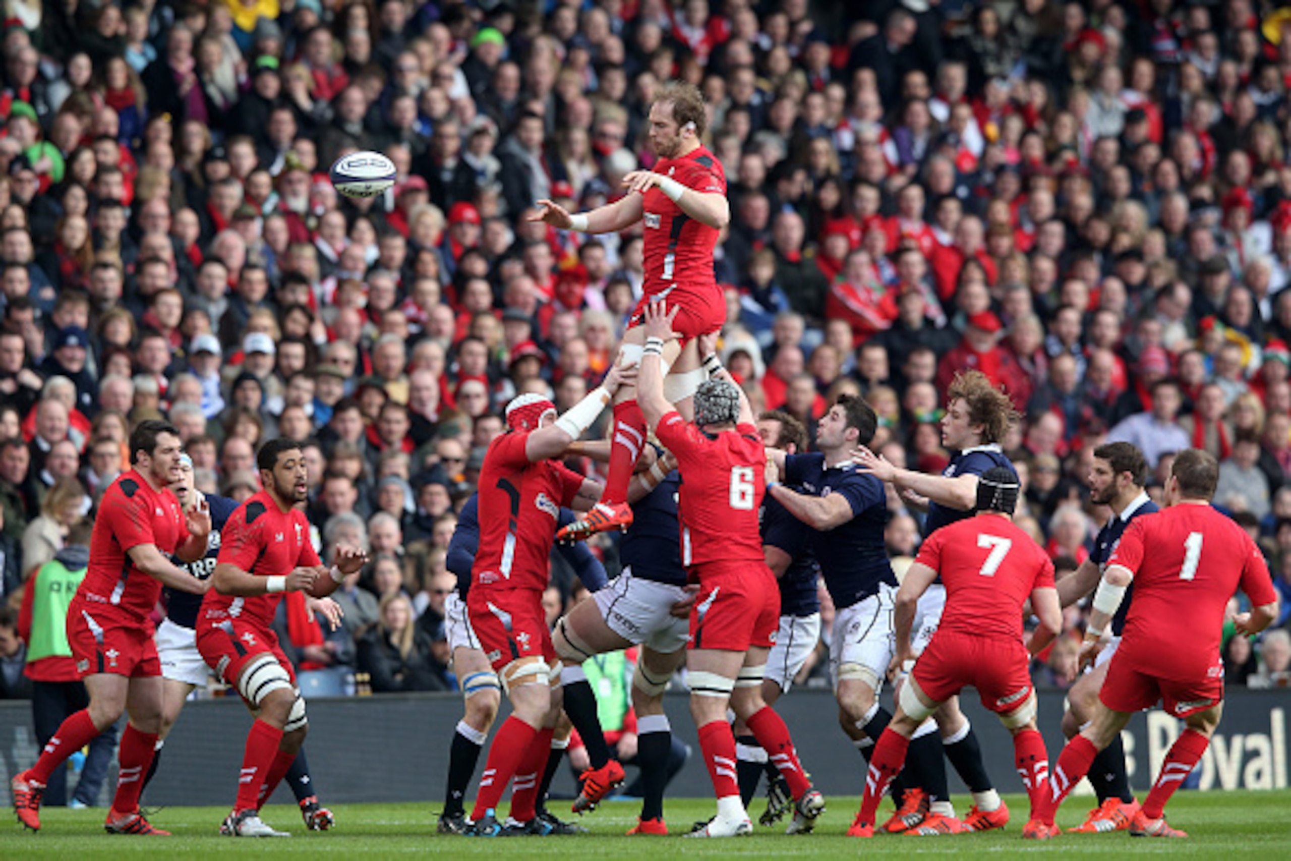 EDINBURGH, SCOTLAND - FEBRUARY 15:  Alun Wyn Jones of Wales wins lineout ball during the RBS Six Nations match between Scotland and Wales at Murrayfield Stadium on February 15, 2015 in Edinburgh, Scotland.  (Photo by David Rogers/Getty Images)