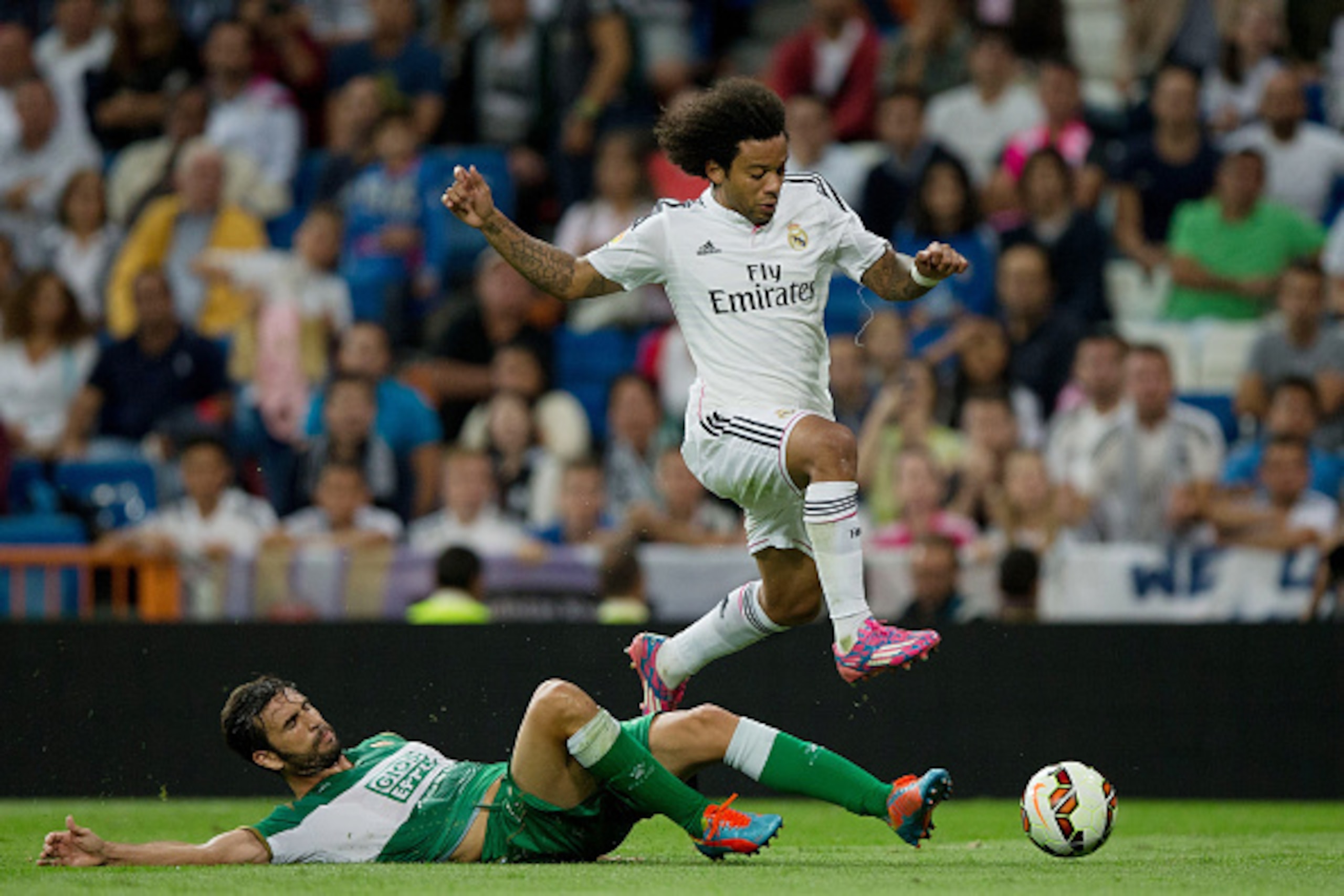 MADRID, SPAIN - SEPTEMBER 23: Marcelo (R) of Real Madrid CF competes for the ball with Sergio Pelegrin (L) of  Elche FC during the La Liga match between Real Madrid CF and Elche CF at Estadio Santiago Bernabeu on September 23, 2014 in Madrid, Spain.  (Pho