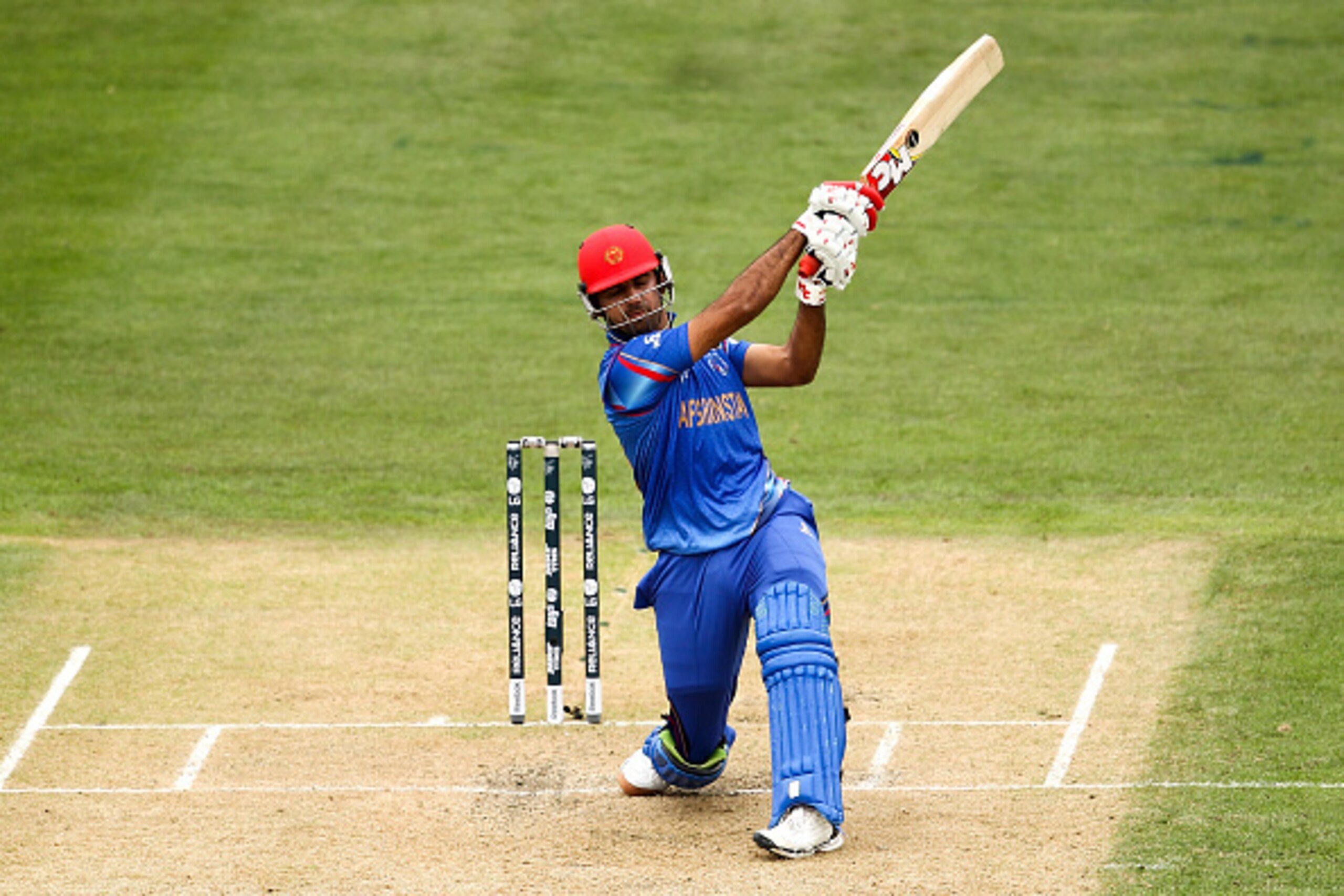 DUNEDIN, NEW ZEALAND - FEBRUARY 22: Dawlat Zadran of Afghanistan bats during the 2015 ICC Cricket World Cup match between Sri Lanka and Afghanistan at University Oval on February 22, 2015 in Dunedin, New Zealand.  (Photo by Martin Hunter/Getty Images)