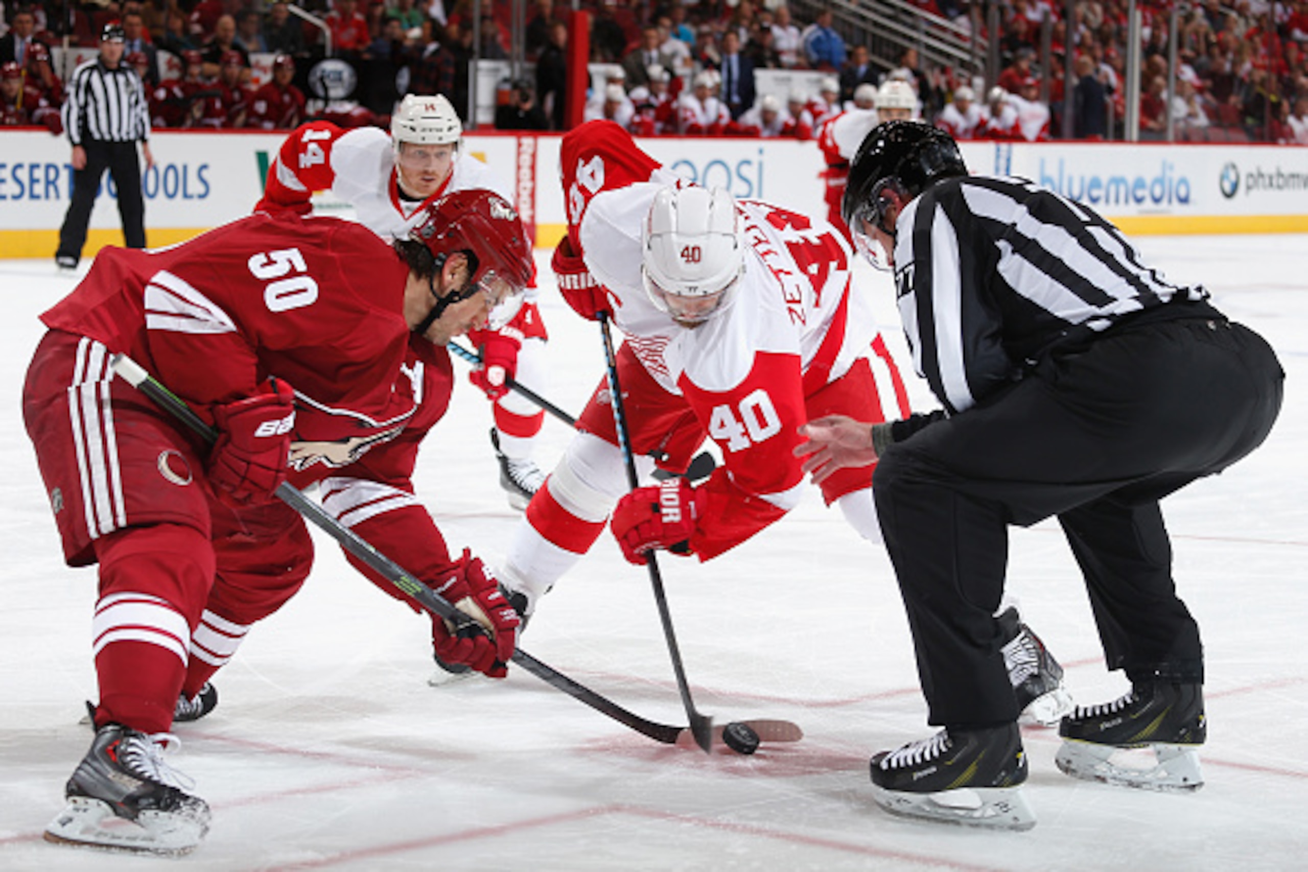 GLENDALE, AZ - FEBRUARY 07:  Antoine Vermette #50 of the Arizona Coyotes and Henrik Zetterberg #40 of the Detroit Red Wings face off during the NHL game at Gila River Arena on February 7, 2015 in Glendale, Arizona. The Red Wings defeated the Coyotes 3-1. 