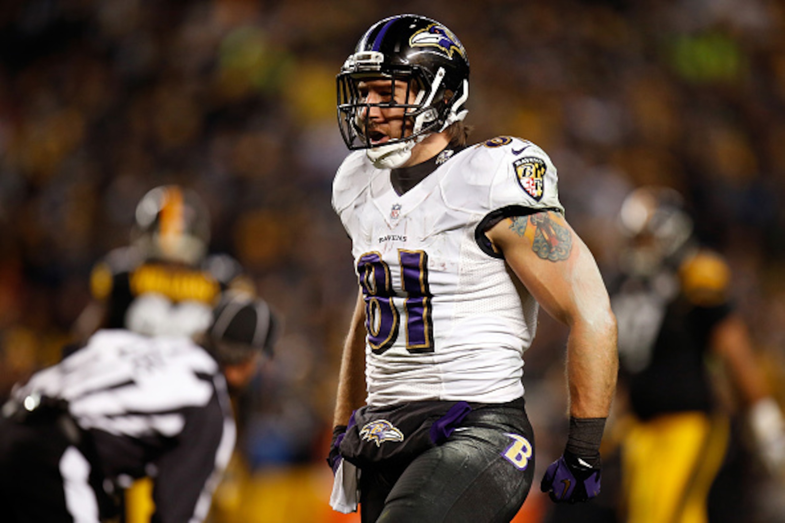 PITTSBURGH, PA - JANUARY 03:  Owen Daniels #81 of the Baltimore Ravens celebrates against the Pittsburgh Steelers during their AFC Wild Card game at Heinz Field on January 3, 2015 in Pittsburgh, Pennsylvania.  (Photo by Gregory Shamus/Getty Images)