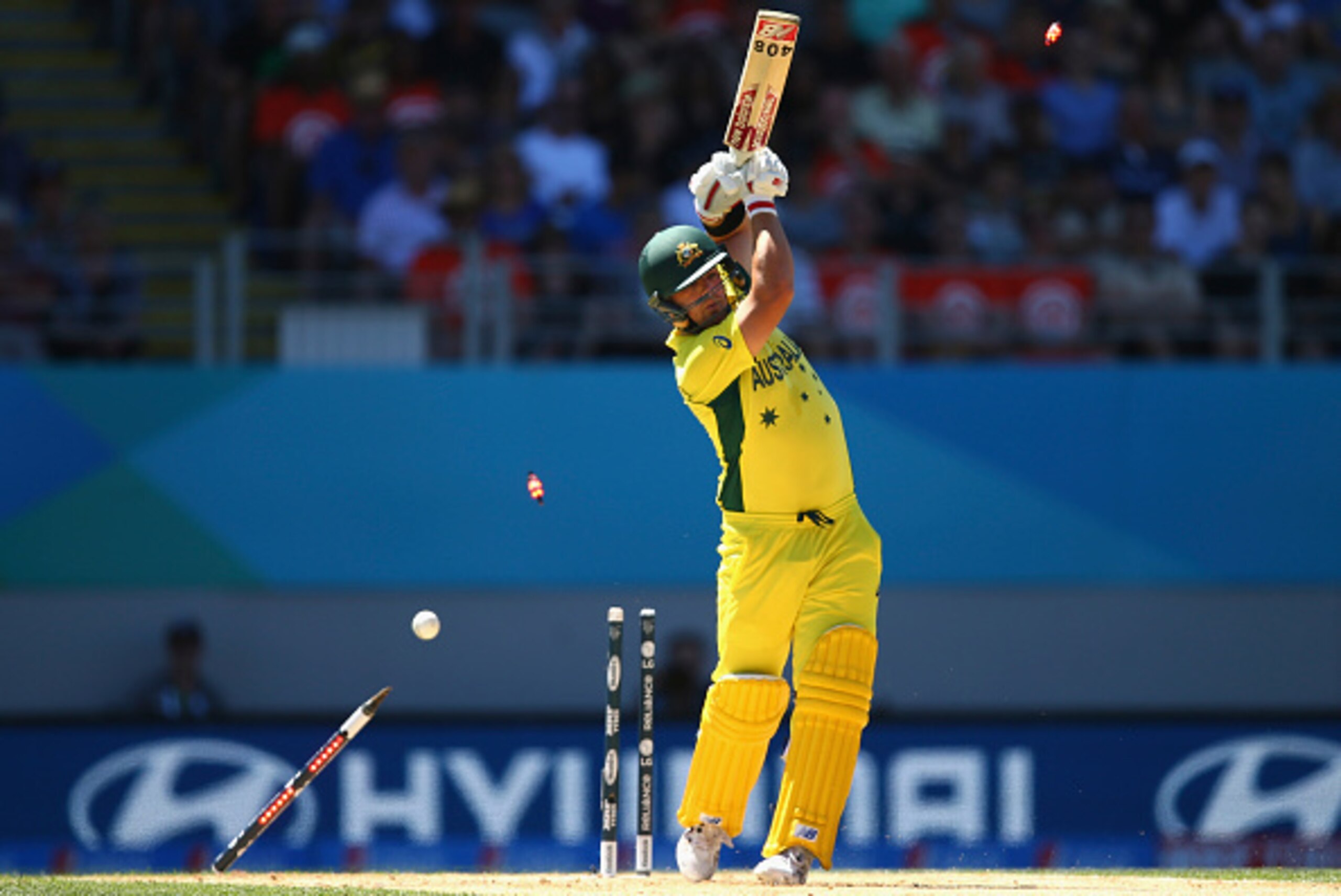 AUCKLAND, NEW ZEALAND - FEBRUARY 28:  Aaron Finch of Australia is bowled by Tim Southee of New Zealand during the 2015 ICC Cricket World Cup match between Australia and New Zealand at Eden Park on February 28, 2015 in Auckland, New Zealand.  (Photo by Rya