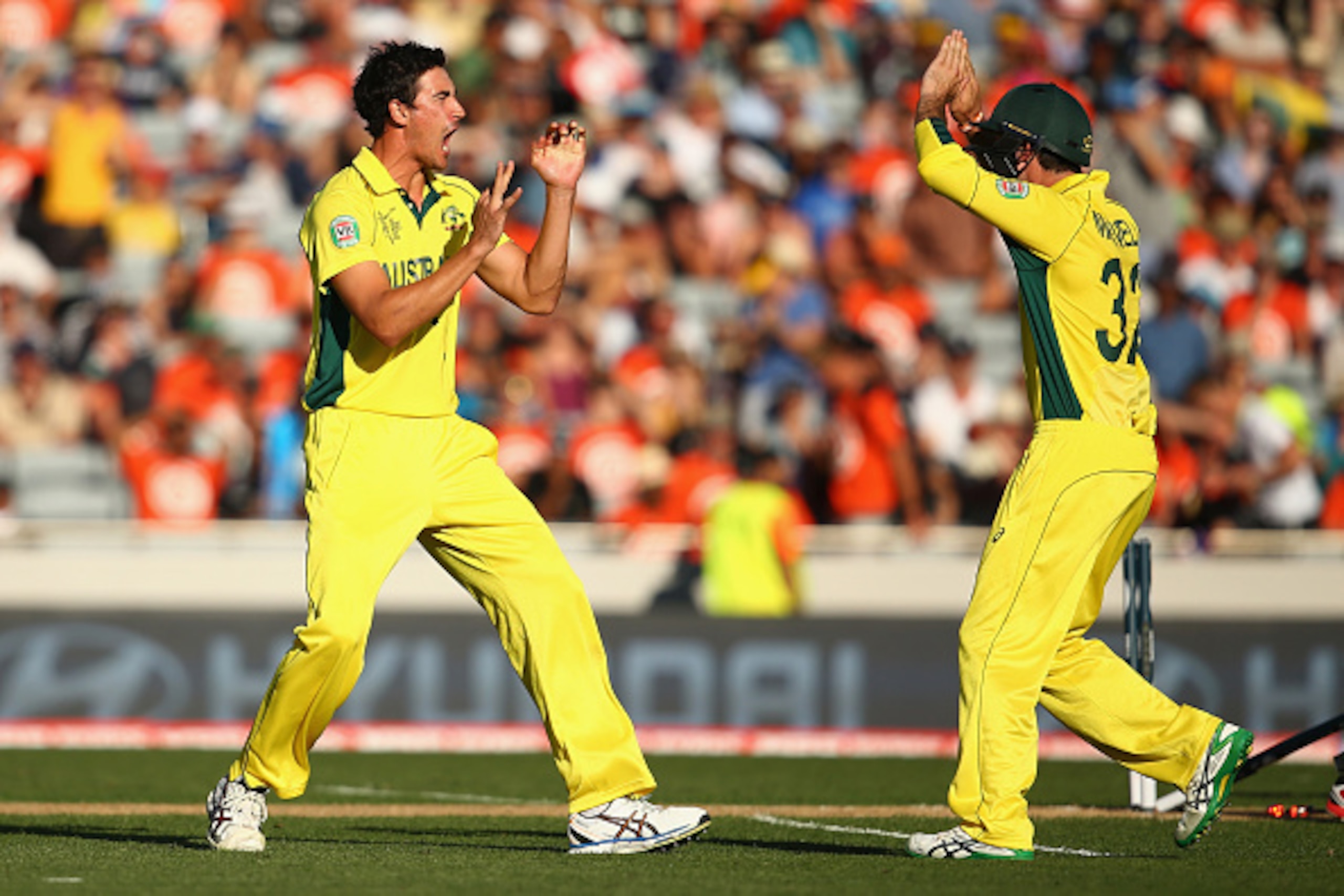 AUCKLAND, NEW ZEALAND - FEBRUARY 28:  Mitchell Starc of Australia celebrates with Glenn Maxwell of Australia after taking the wicket of Grant Elliott of New Zealand during the 2015 ICC Cricket World Cup match between Australia and New Zealand at Eden Park