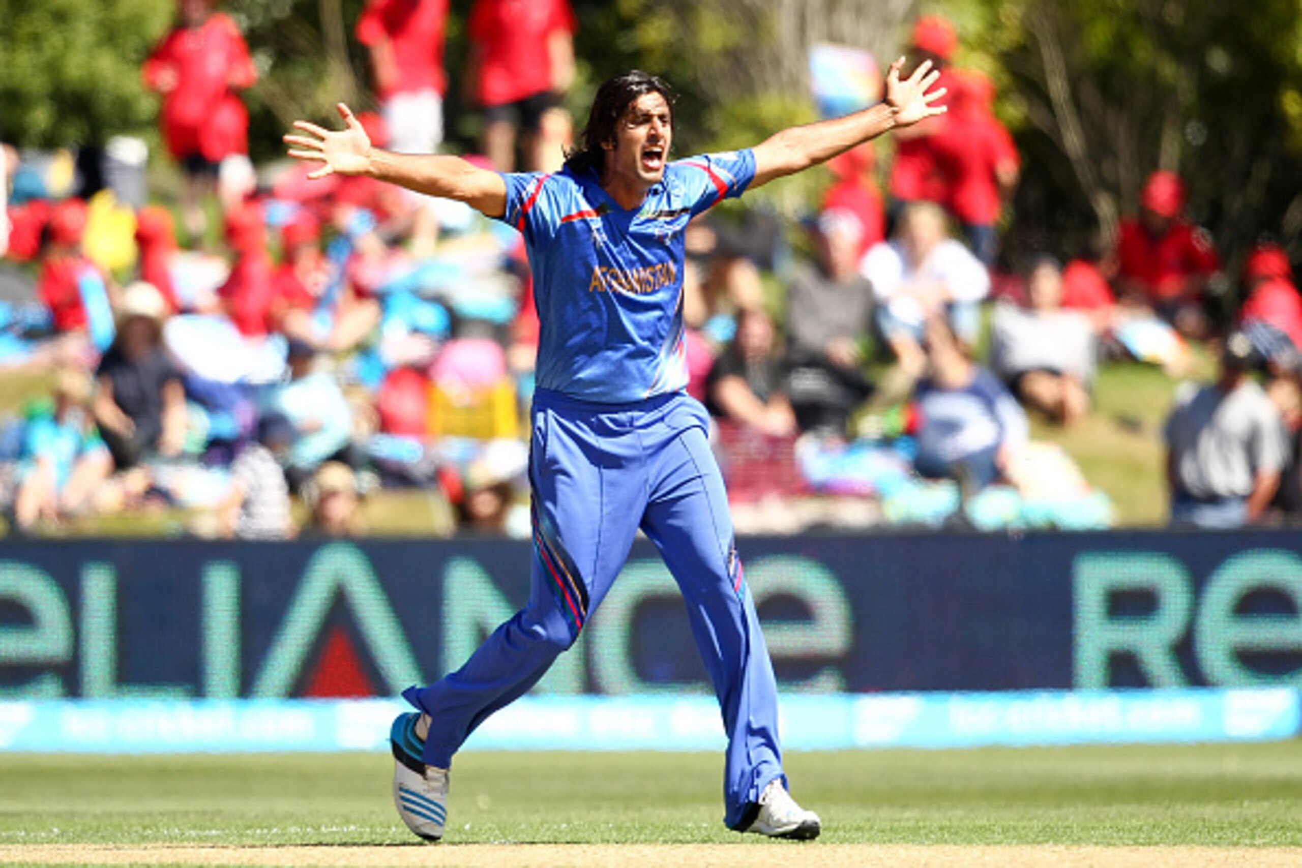 DUNEDIN, NEW ZEALAND - FEBRUARY 26: Shapoor Zadran of Afghanistan celebrates a wicket during the 2015 ICC Cricket World Cup match between Afghanistan and Scotland at University Oval on February 26, 2015 in Dunedin, New Zealand.  (Photo by Martin Hunter/Ge